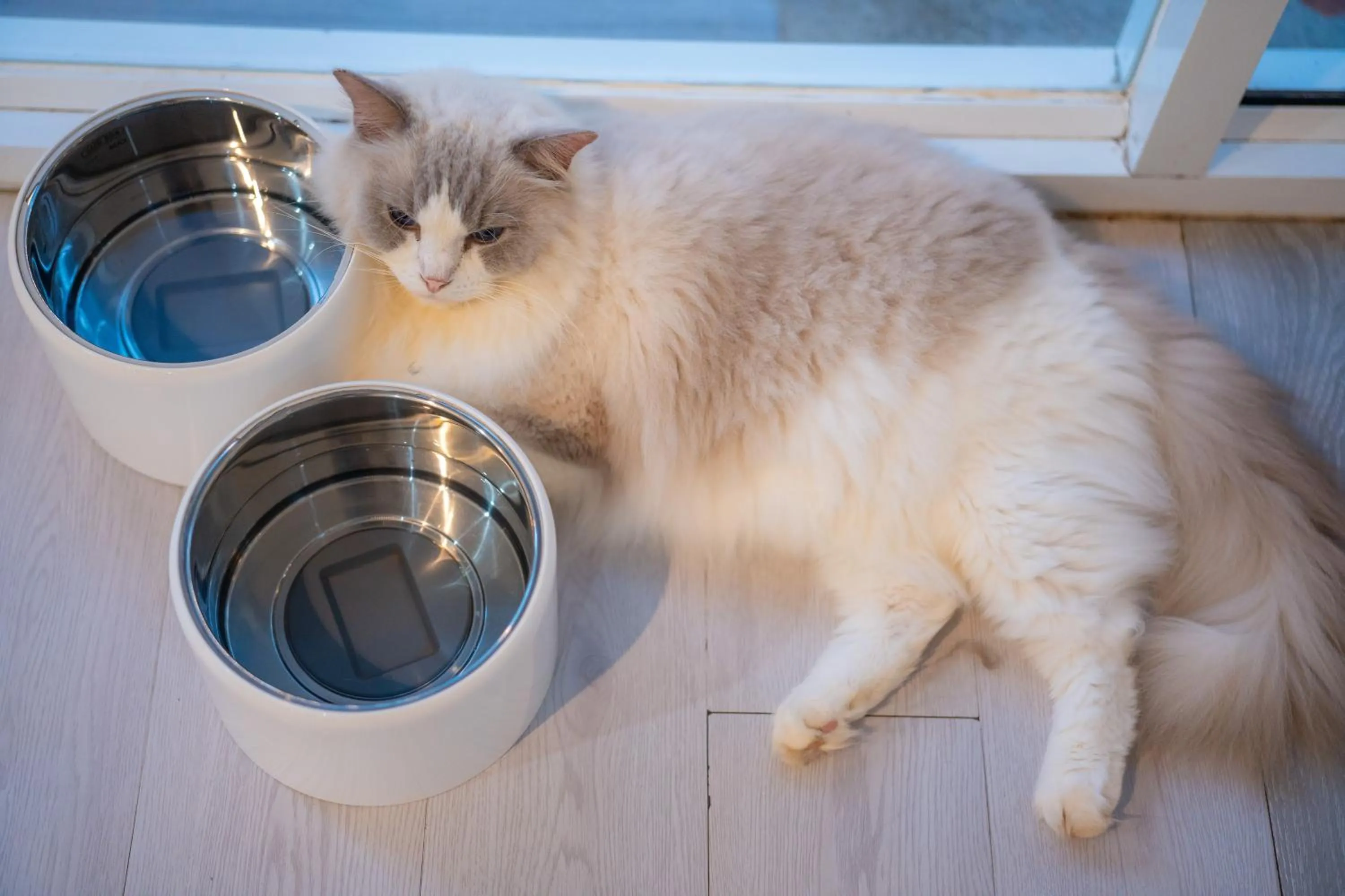 Patong Beach Side Hotel