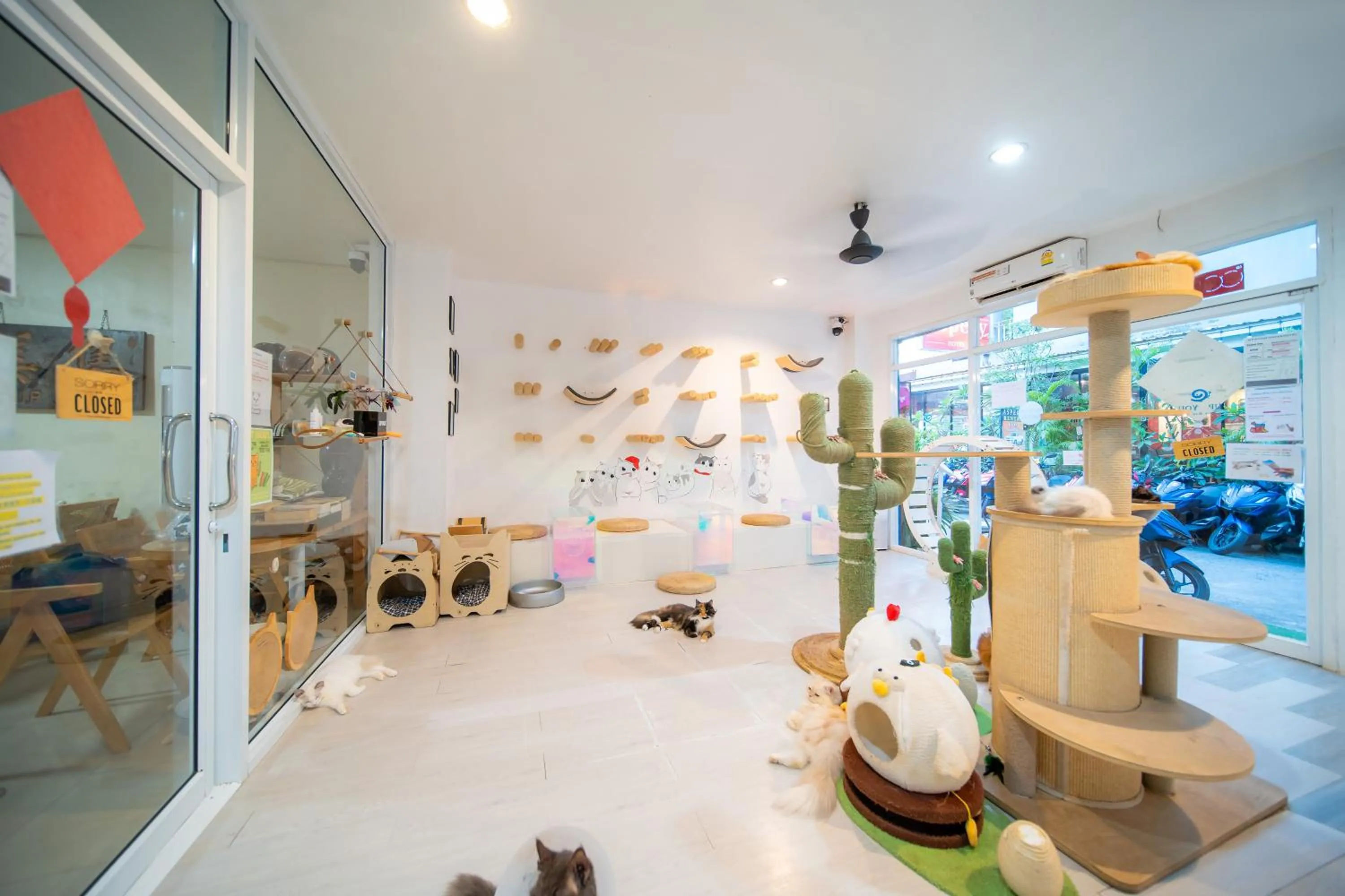 Patong Beach Side Hotel