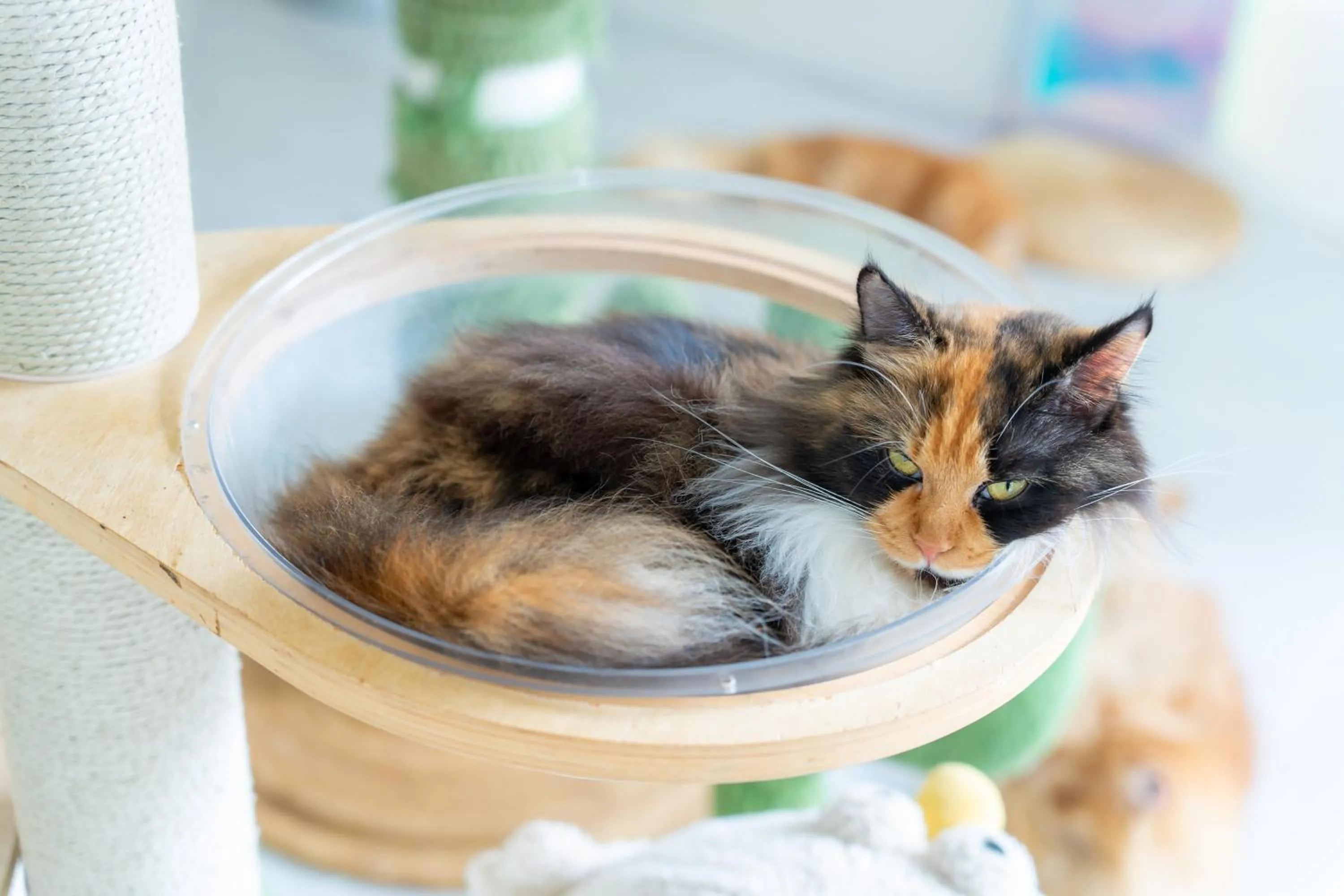 Patong Beach Side Hotel