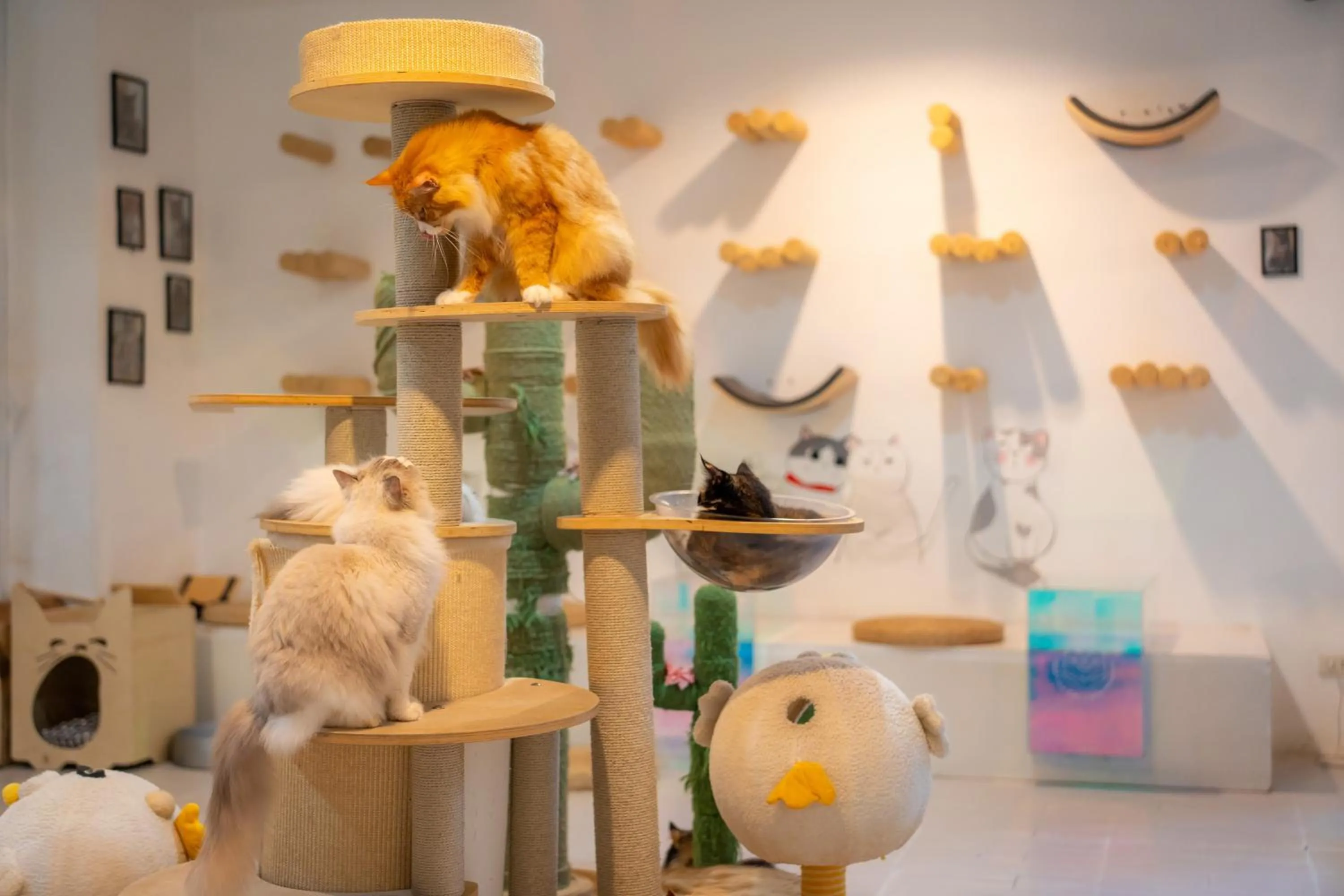 Patong Beach Side Hotel