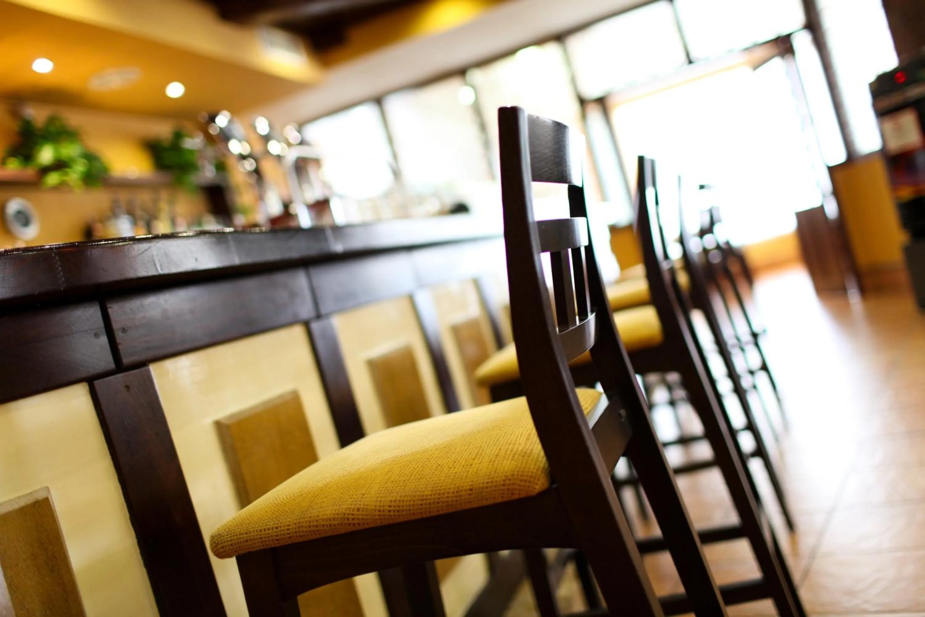 Lounge or bar in Hotel Rocio