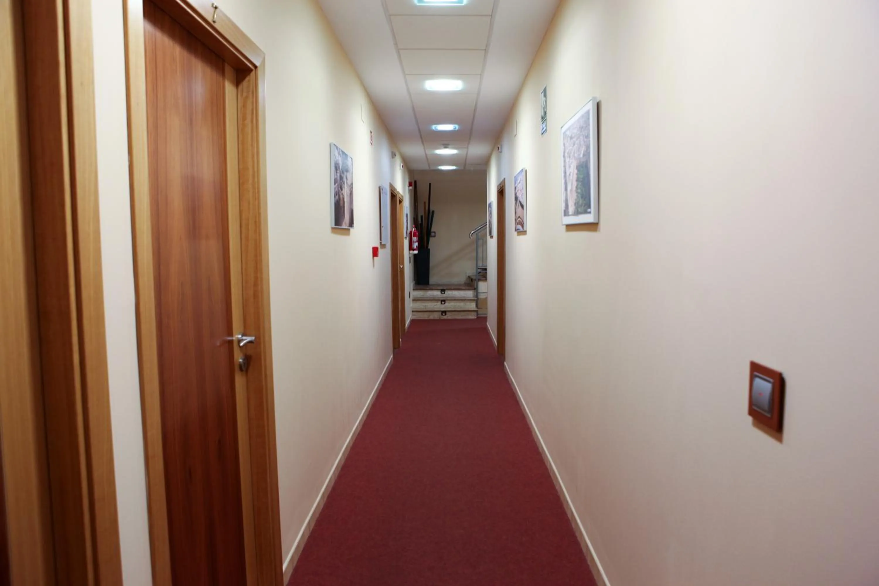 Area and facilities in Hotel Rocio