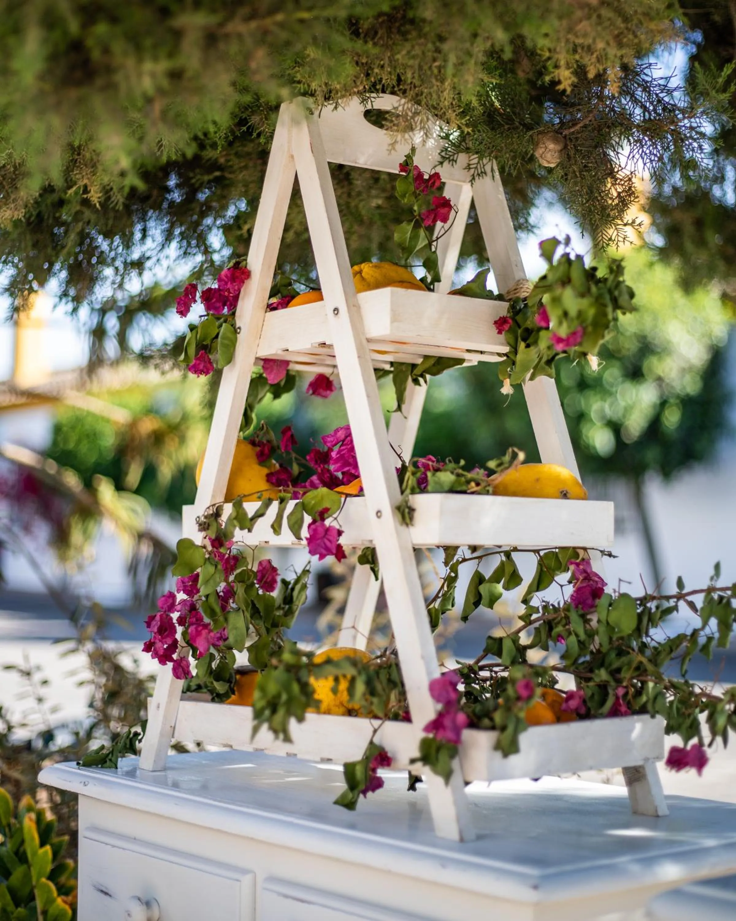 Property building in Puerta de Algadir