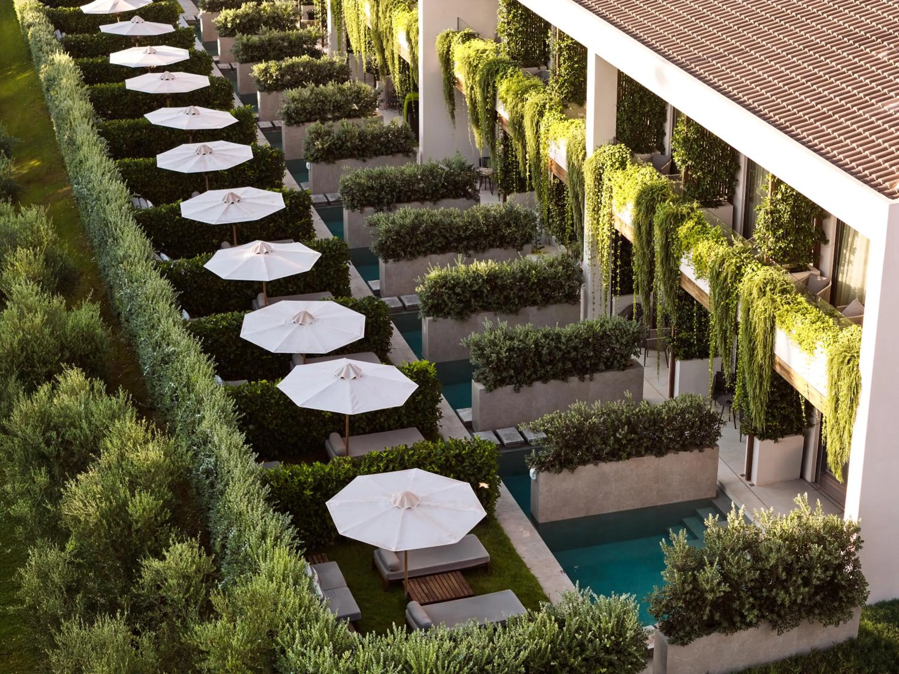 Garden view in Contessina Hotel