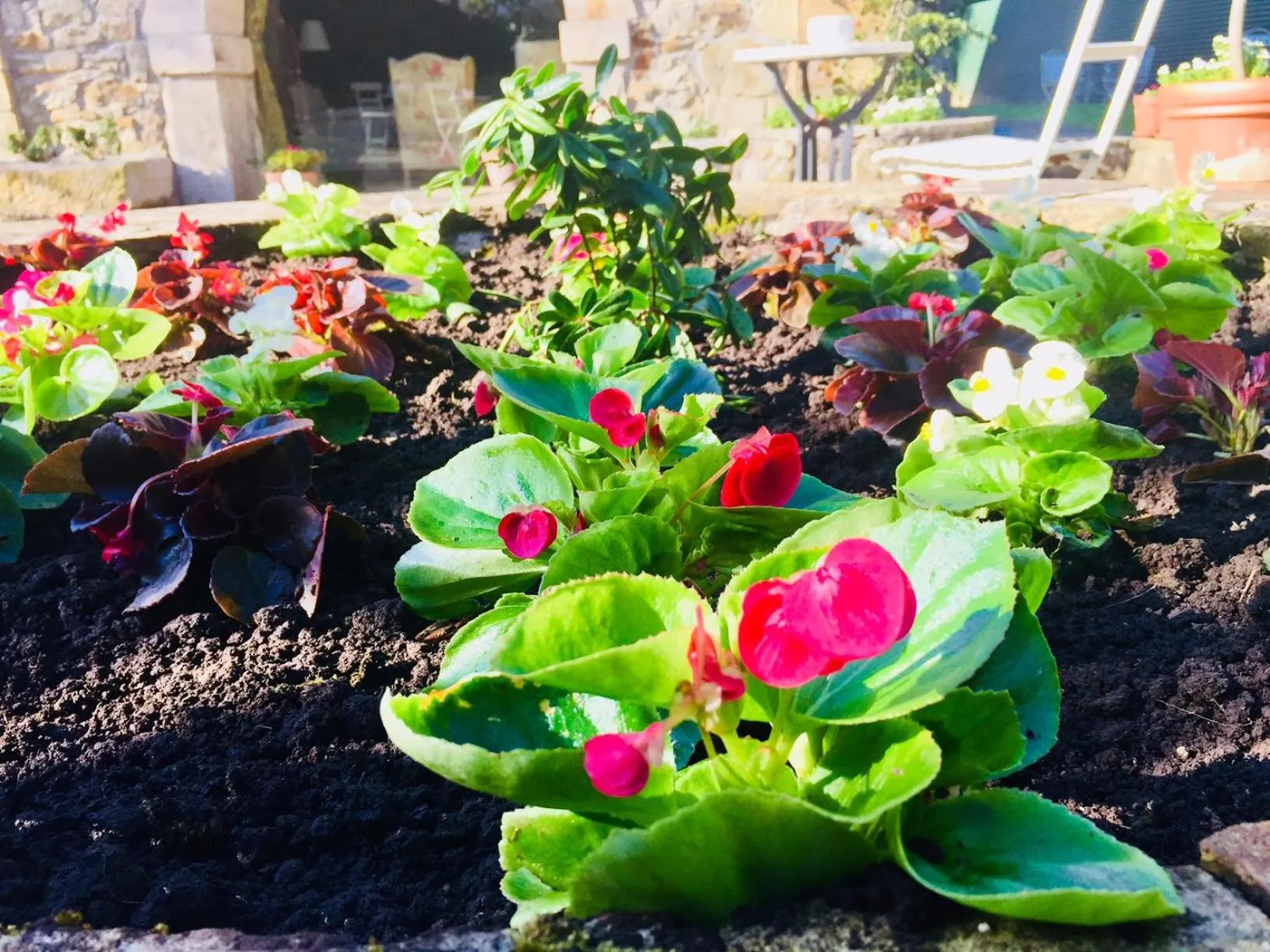 Garden in Posada La Torre de La Quintana