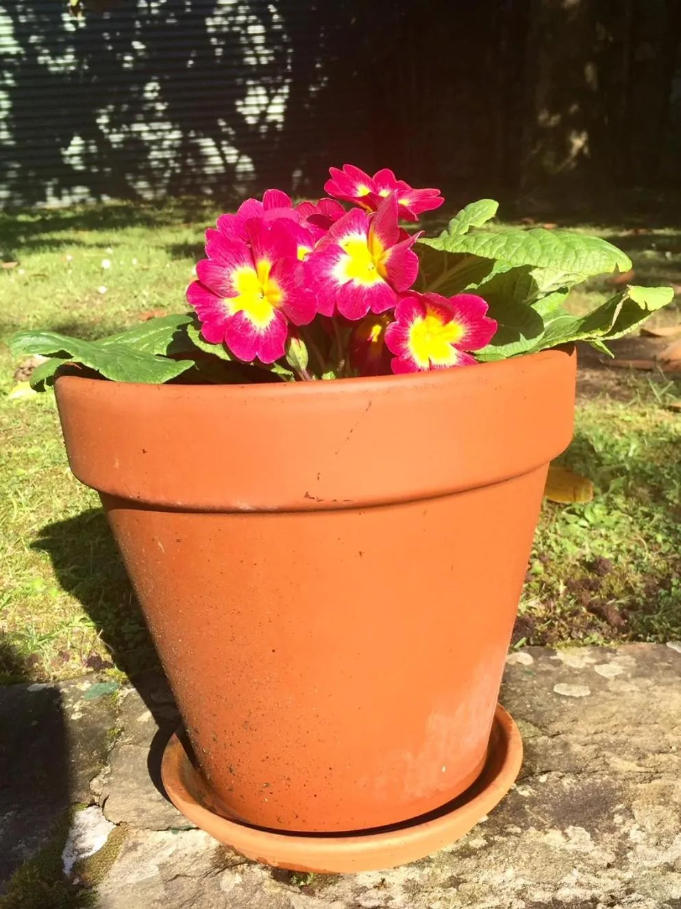Garden in Posada La Torre de La Quintana