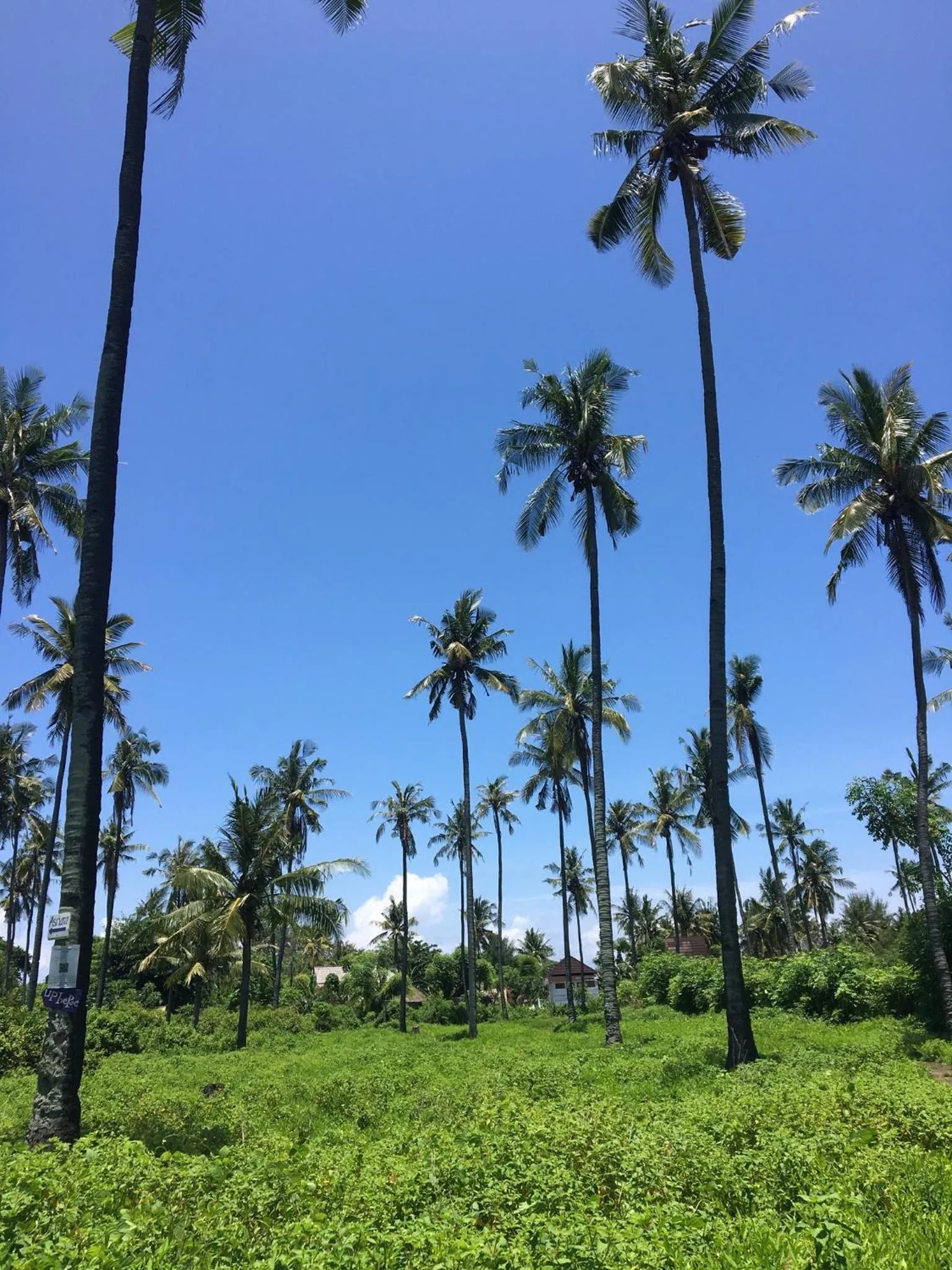 Day in Puring Bungalows