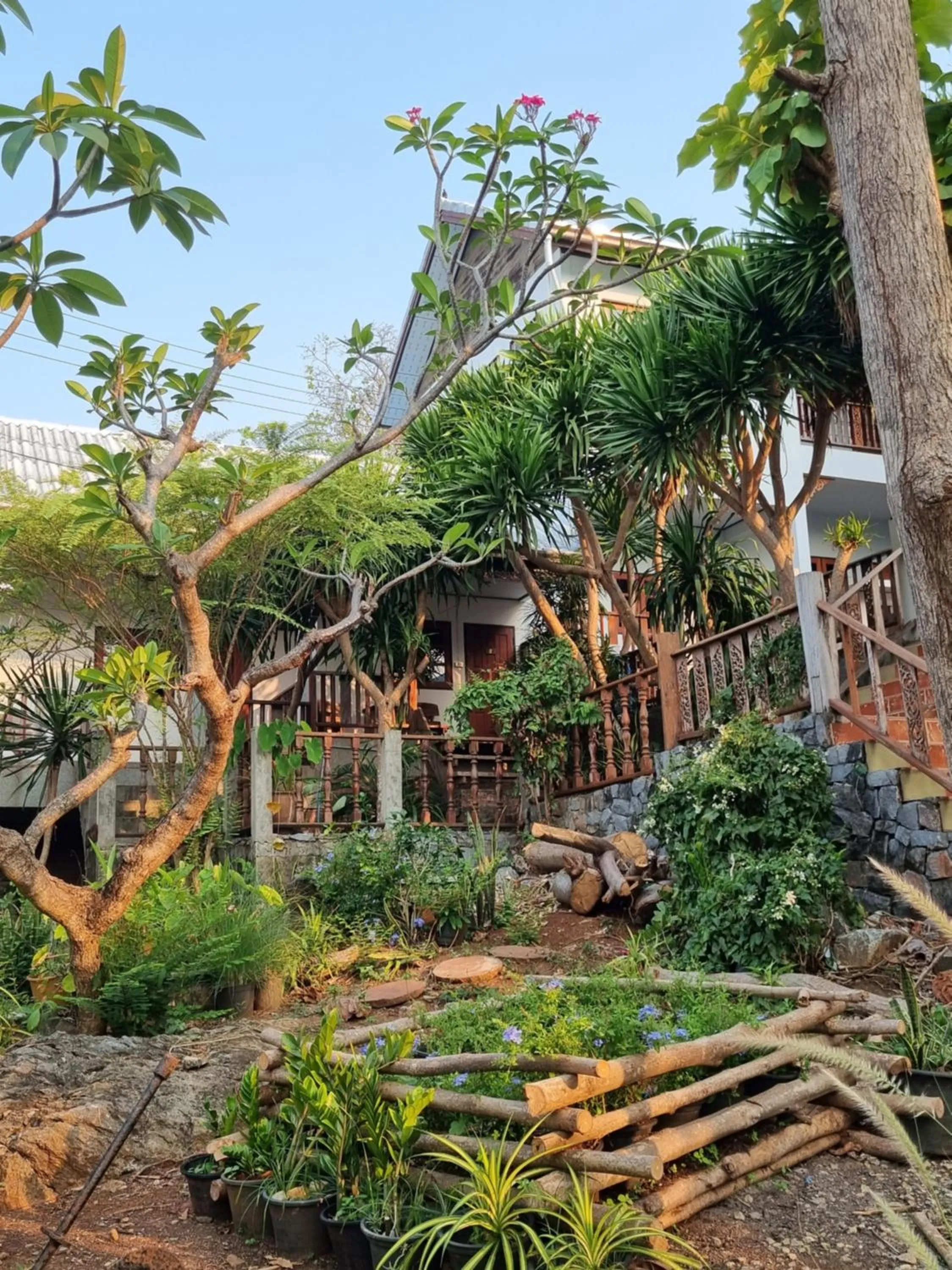 Garden in Sawasdee Sichang