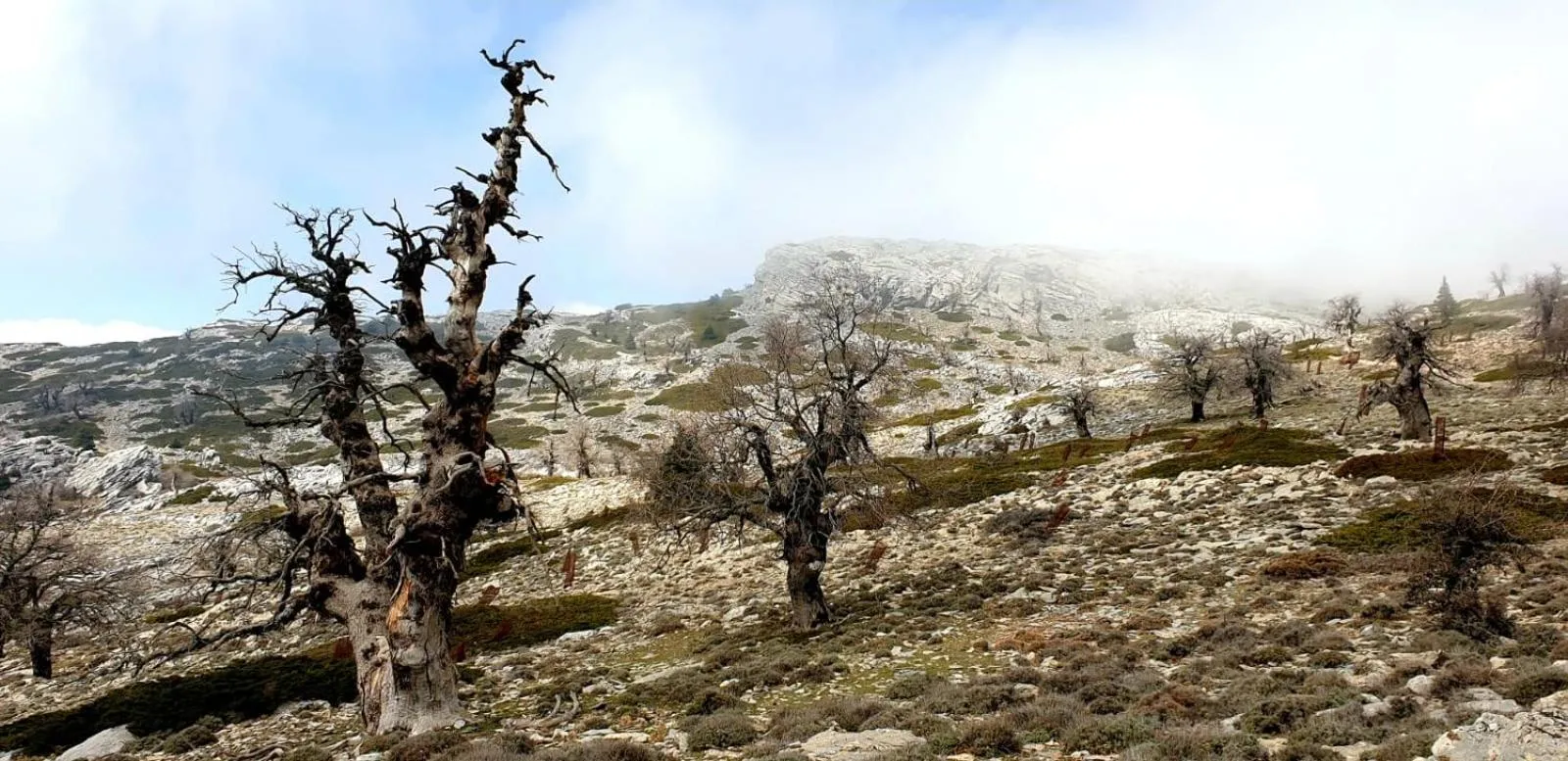 Hotel Sierra Hidalga