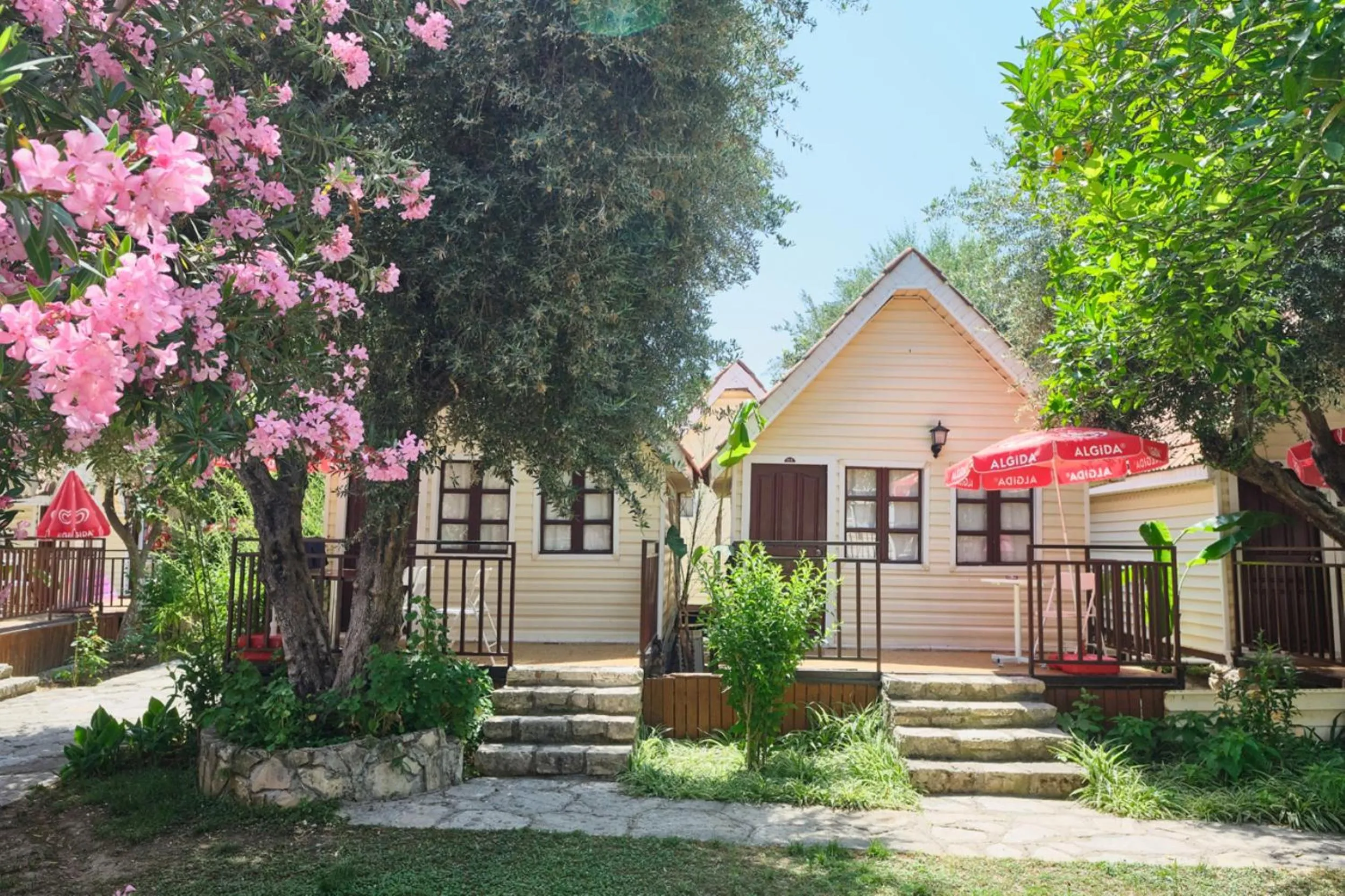 Facade/entrance in Clover Magic Nova Beach Hotel
