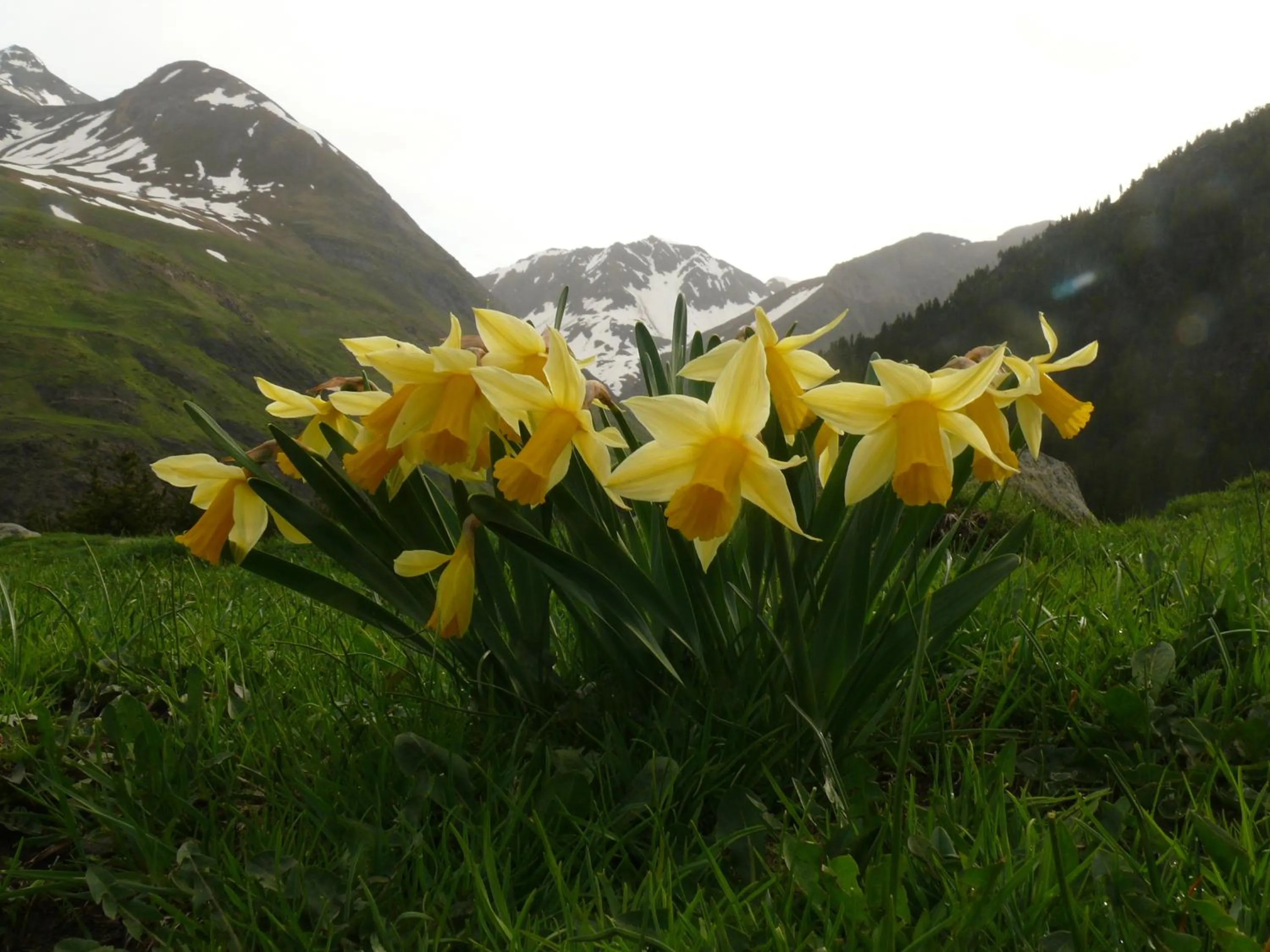 Natural landscape in Los Arcos