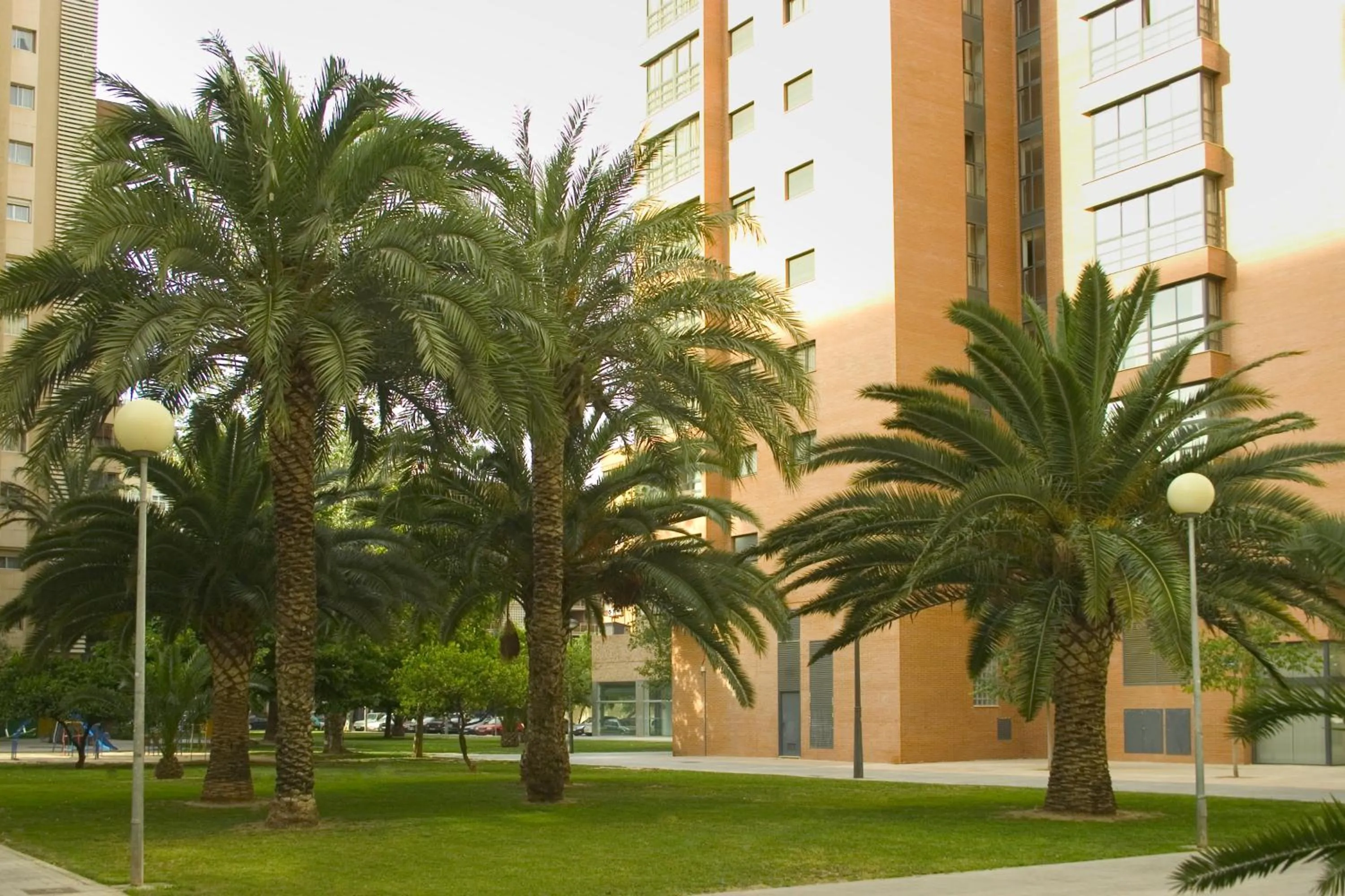 Garden in Apartamentos Plaza Picasso