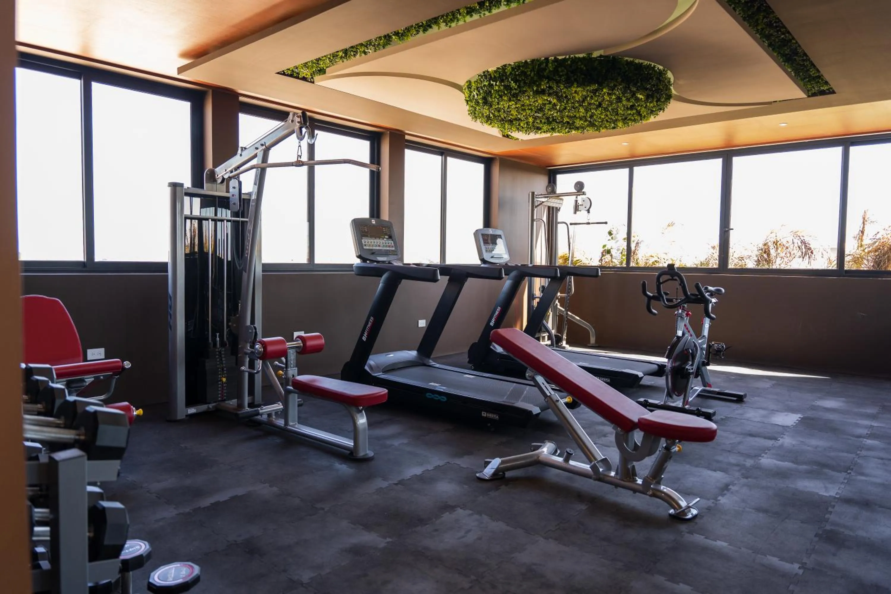Fitness centre/facilities in Luxurious Studio in Menesse Tulum Pool Gym Cinema By Yeah