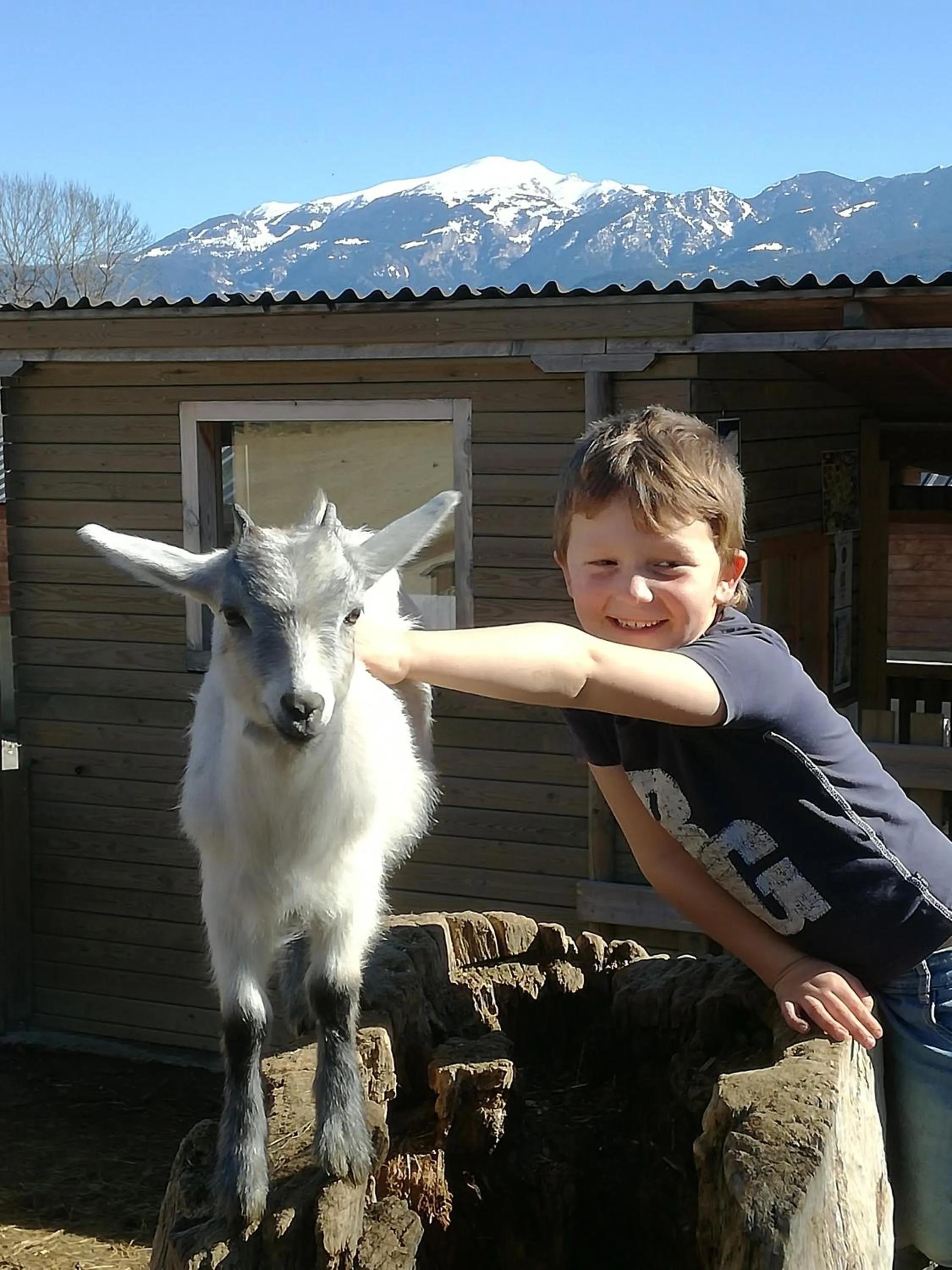 Animals in Cerdanya Viva Ecoestades