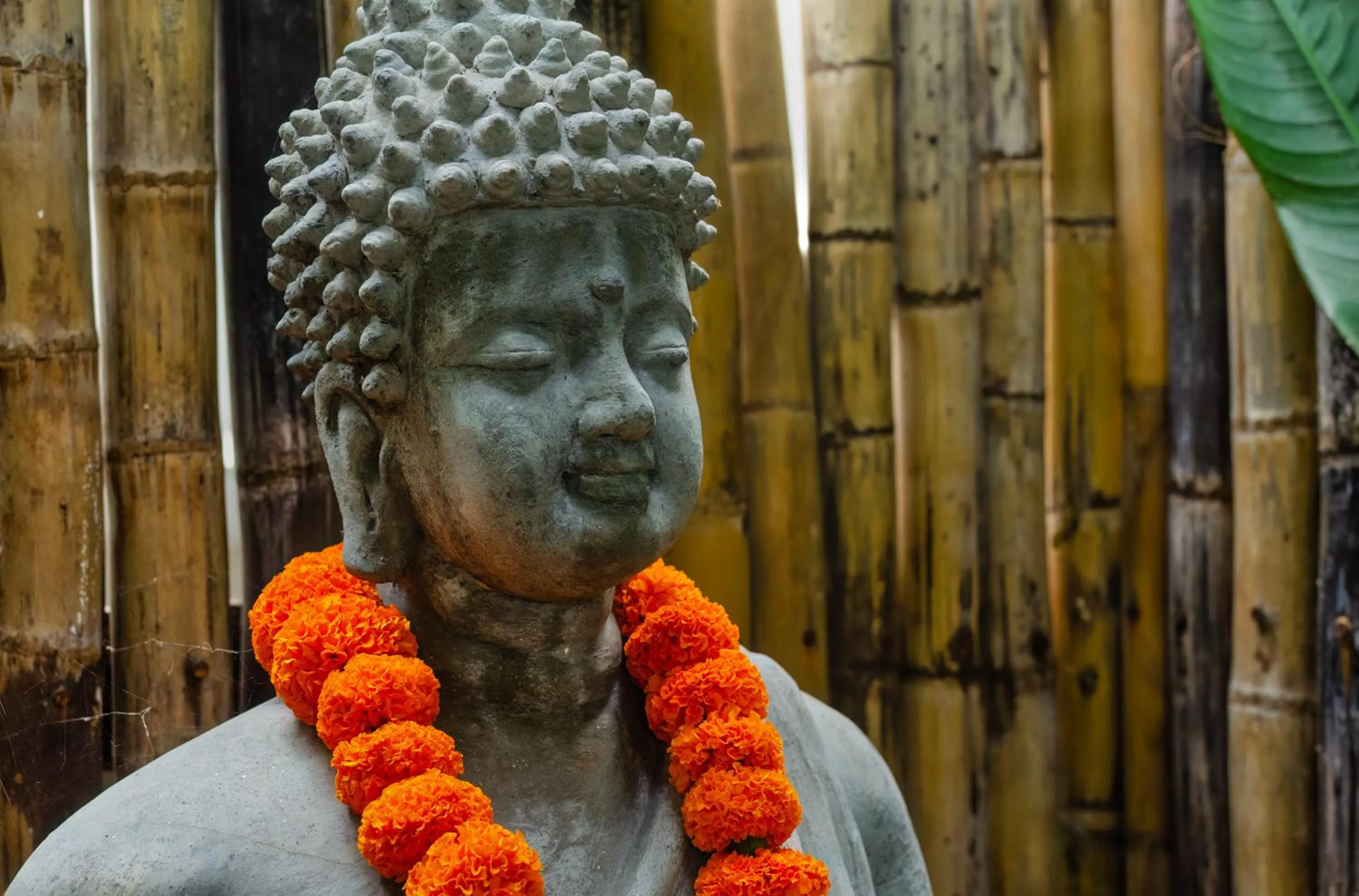 Garden in Chic stay HANA Boutique hotel xxxx None smocking property