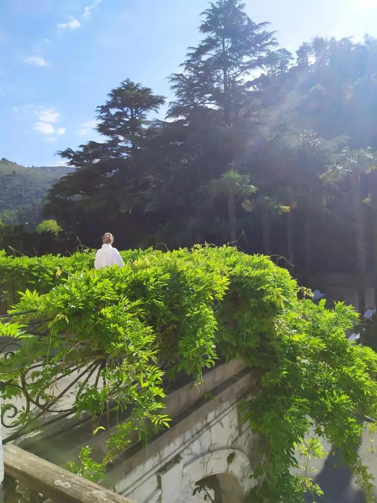 Suite with Terrace in Balneario de Cestona Suite with Terrace in Balneario de Cestona