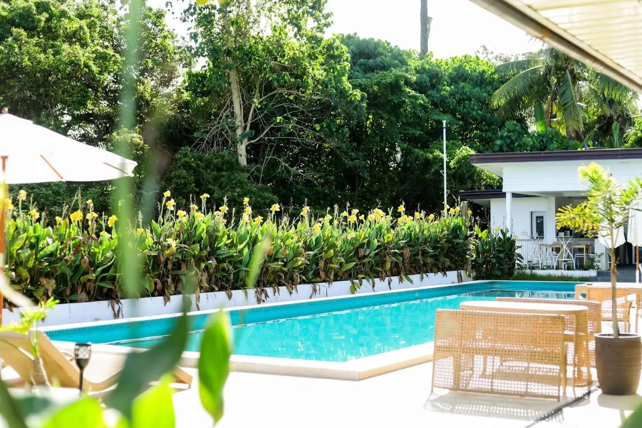 Canna Boutique Hostel Canna Boutique Hostel