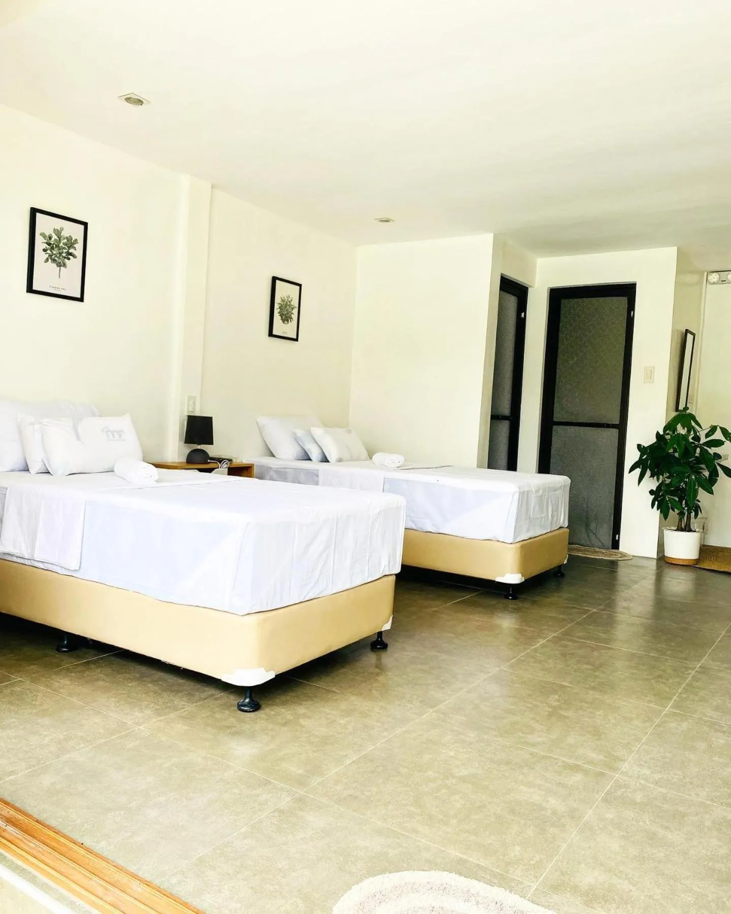 Bed in Canna Boutique Hostel