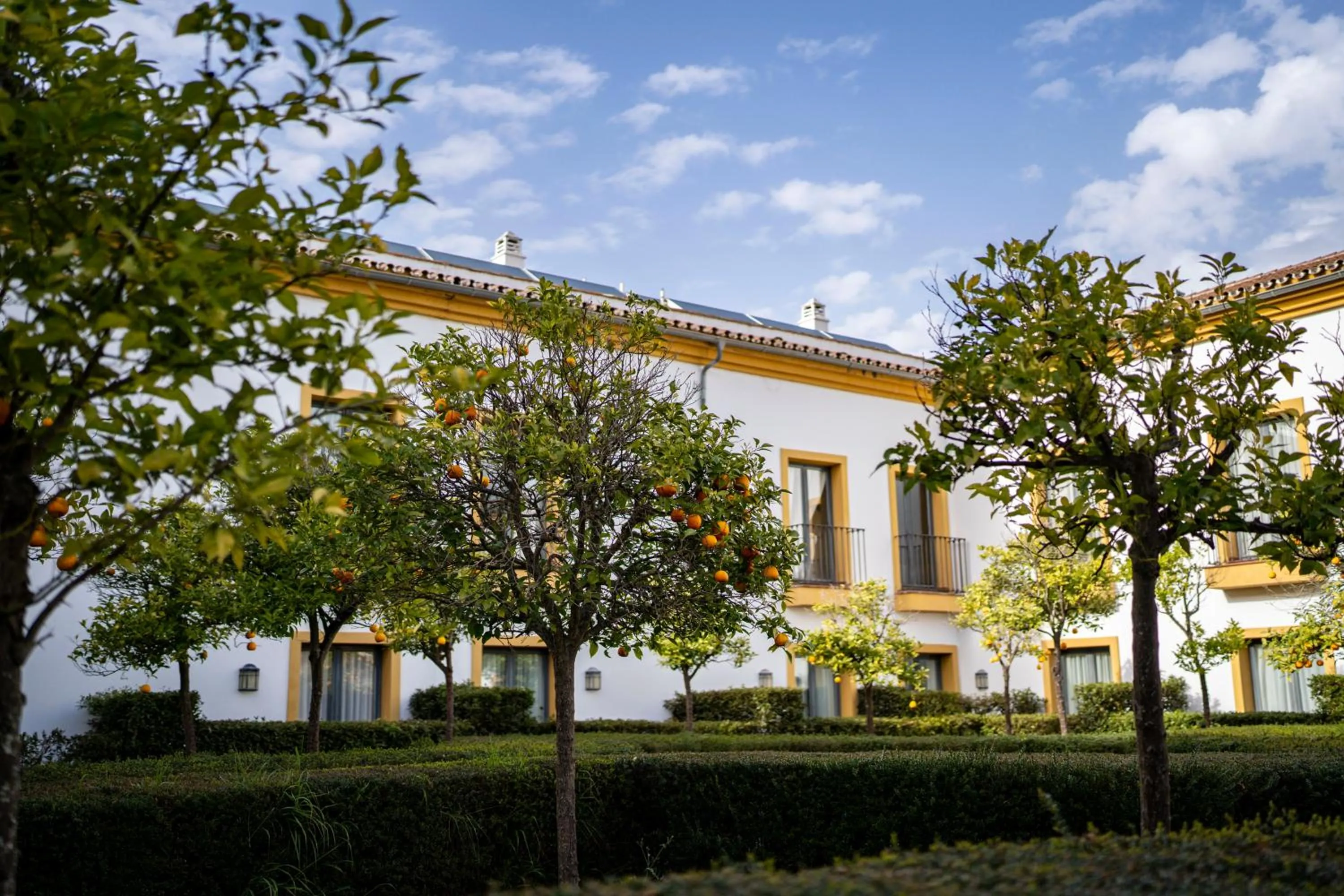 Garden in Hacienda El Alcornocal