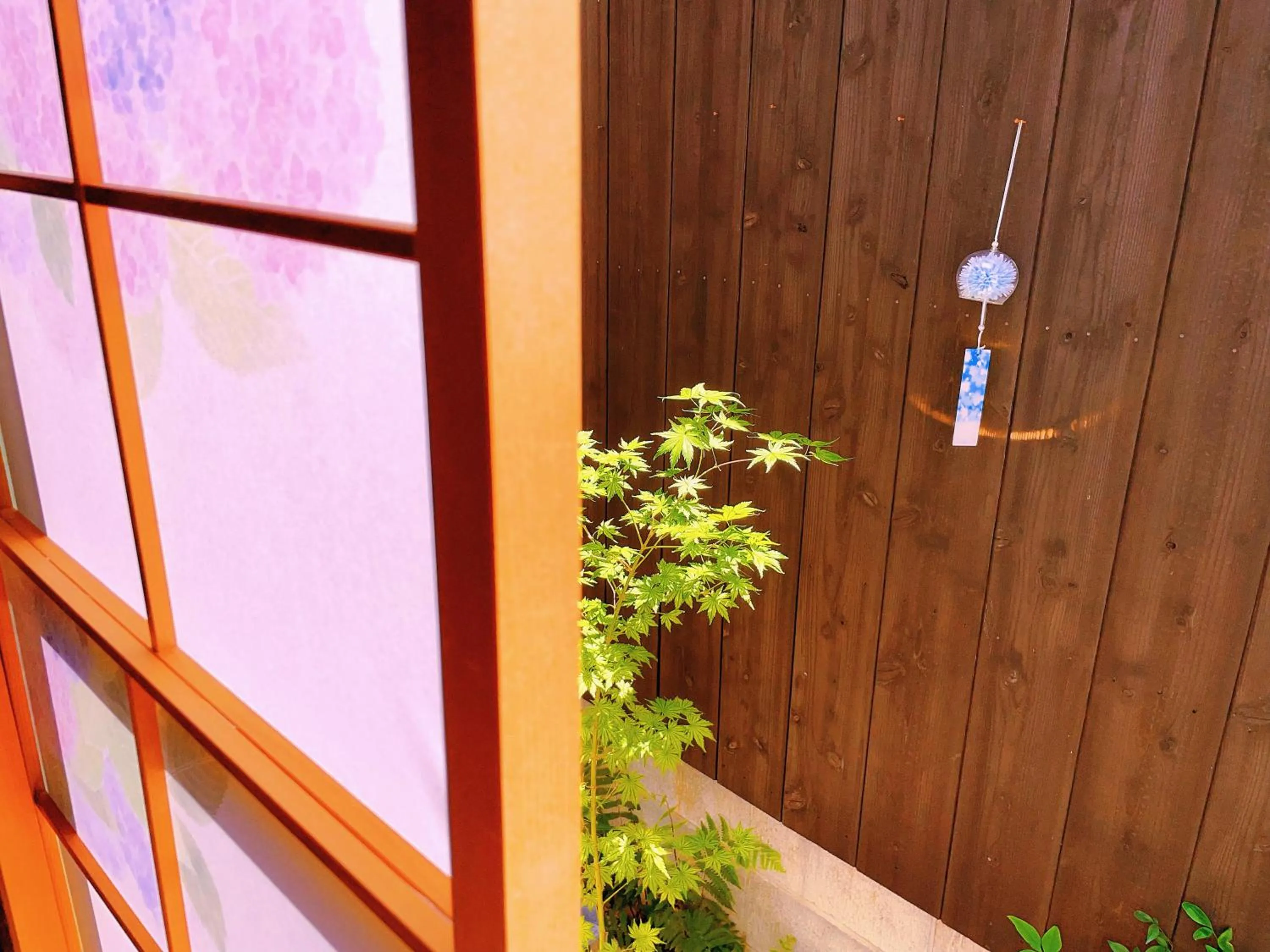 Day in 桃夭庵 touyouan momo house kujo 一棟貸切