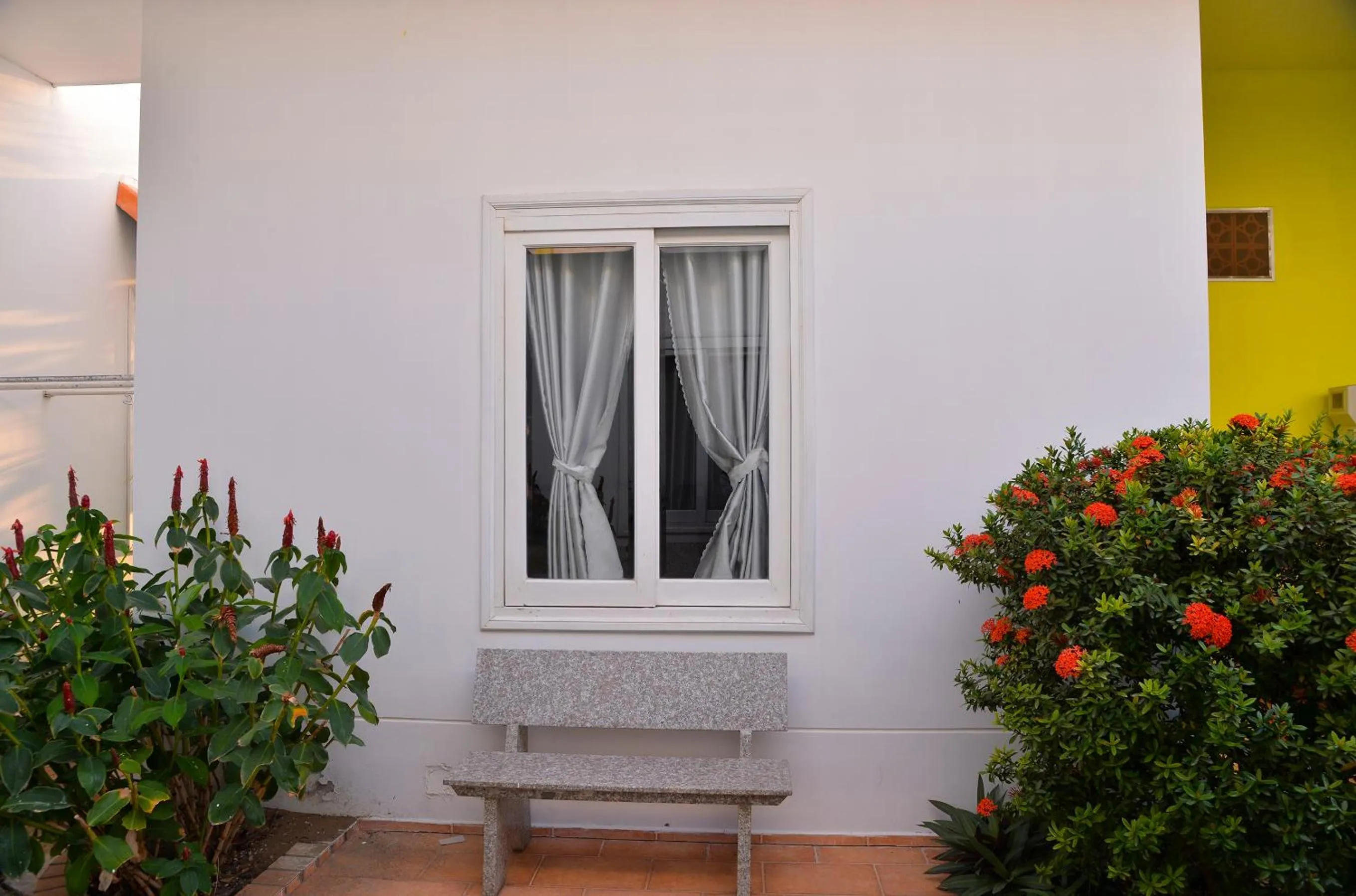 Garden view in An Vinh Analog House - LE BONHEUR