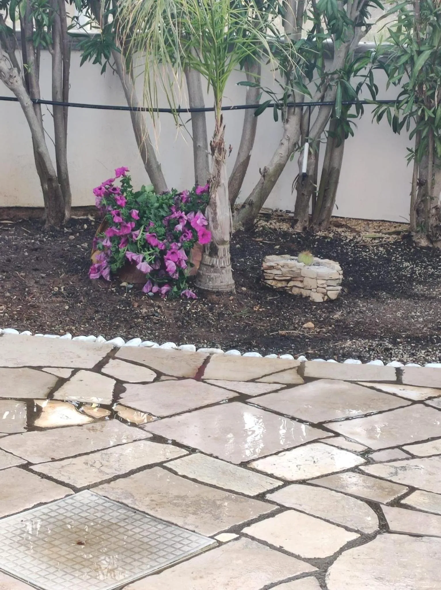 Spring in Bed and breakfast KALE '