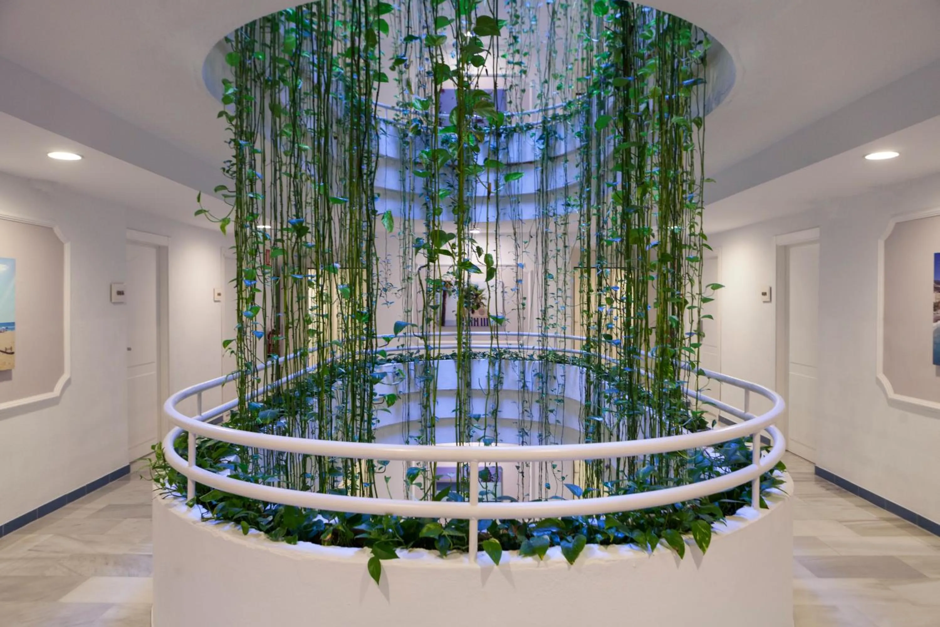 Other in Hotel Helios Costa Tropical