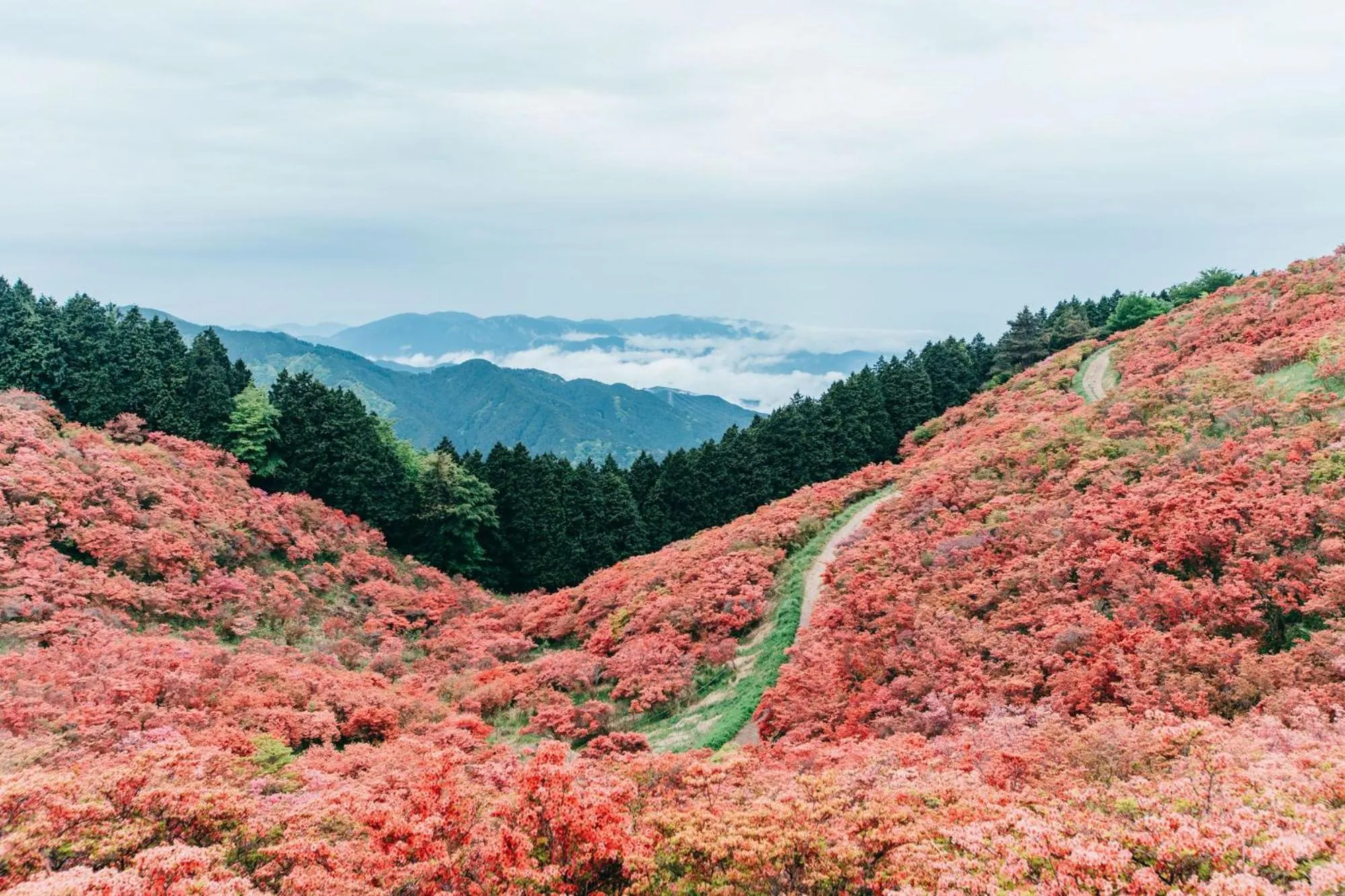 Nearby landmark in Yado Charinko