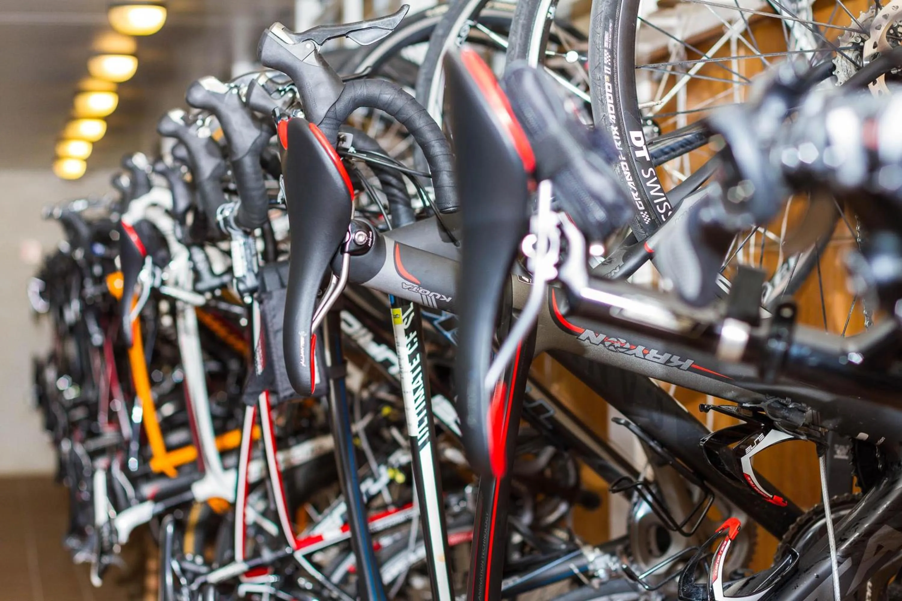 Activities in Eix Platja Daurada Hotel & SPA