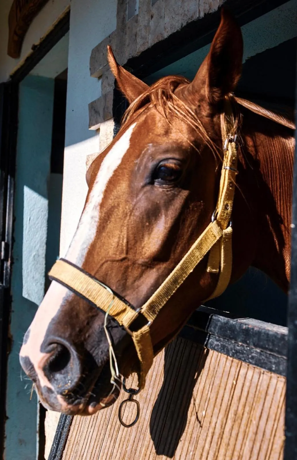 Activities in Apollon Garden Pamukkale