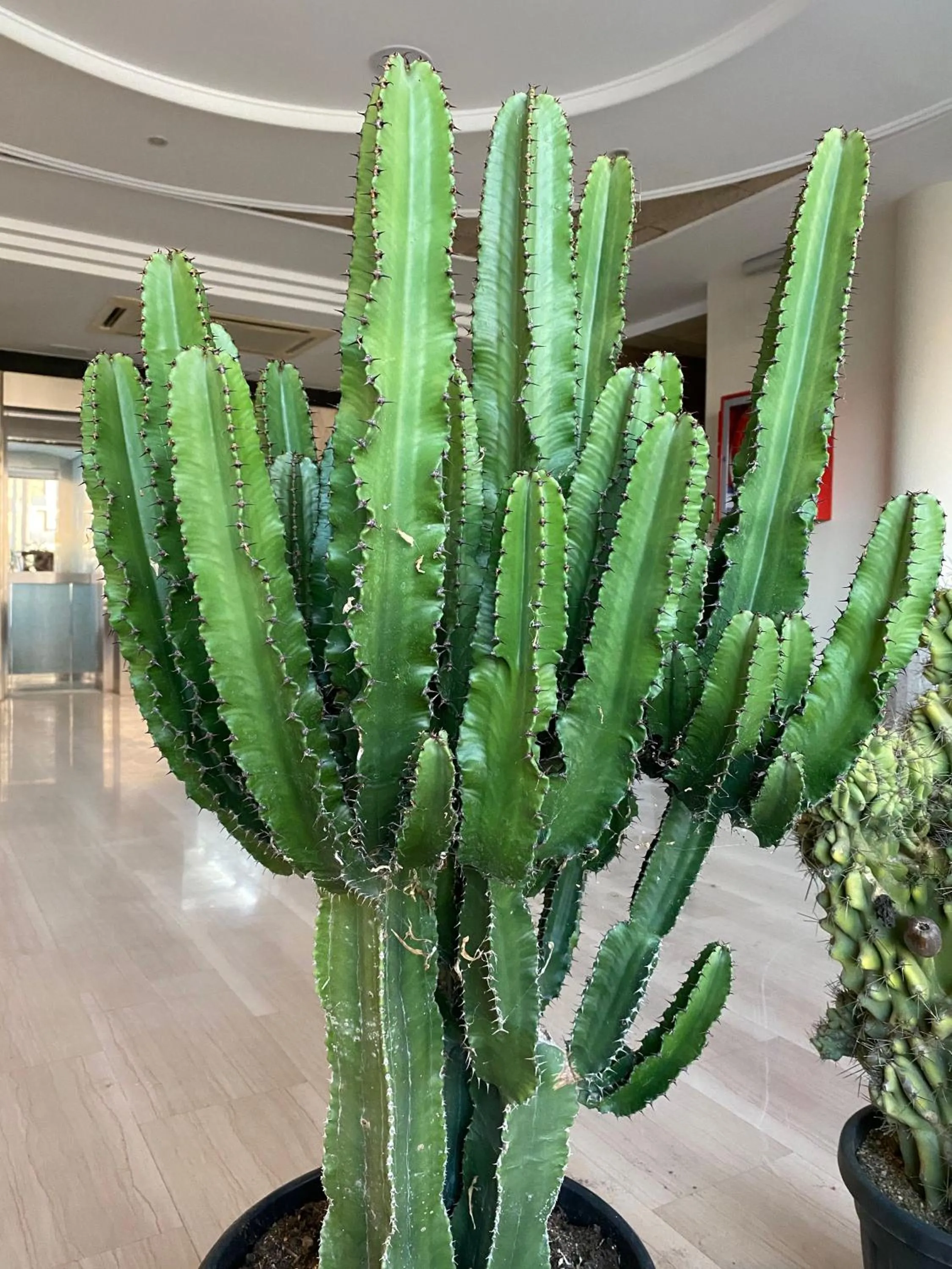 Property building in Hotel Astoria Park