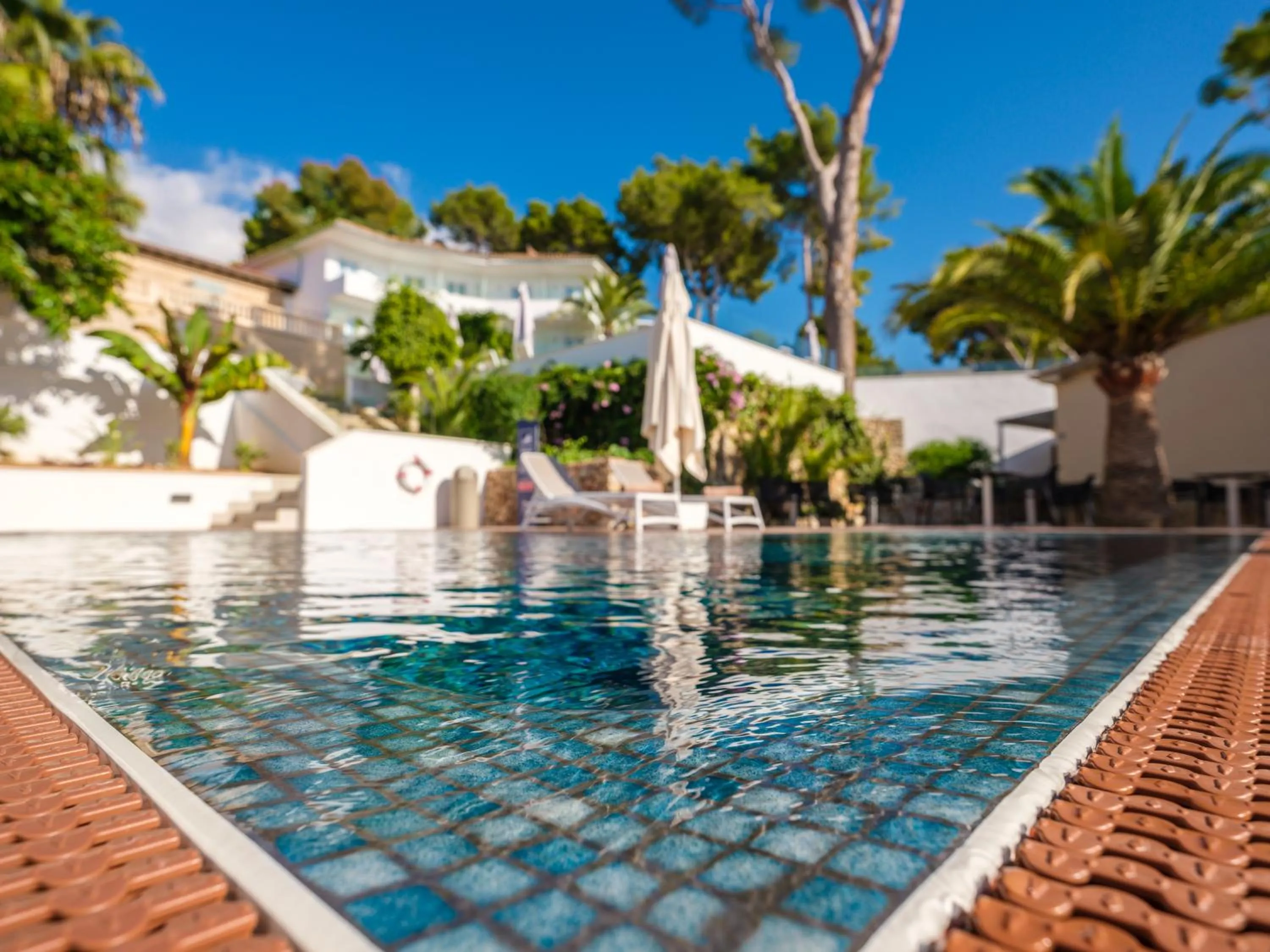 Swimming pool in Tacande Portals