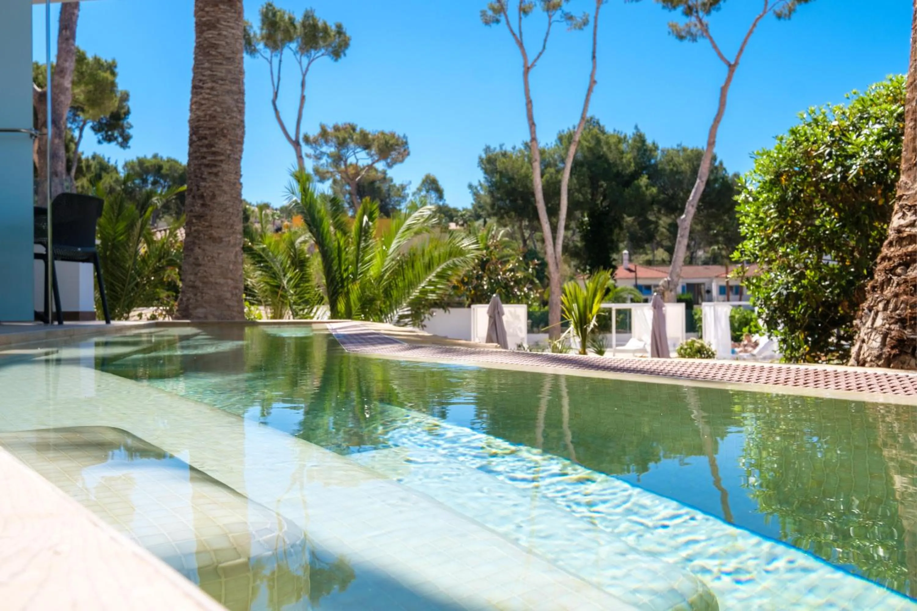 Photo of the whole room in Tacande Portals