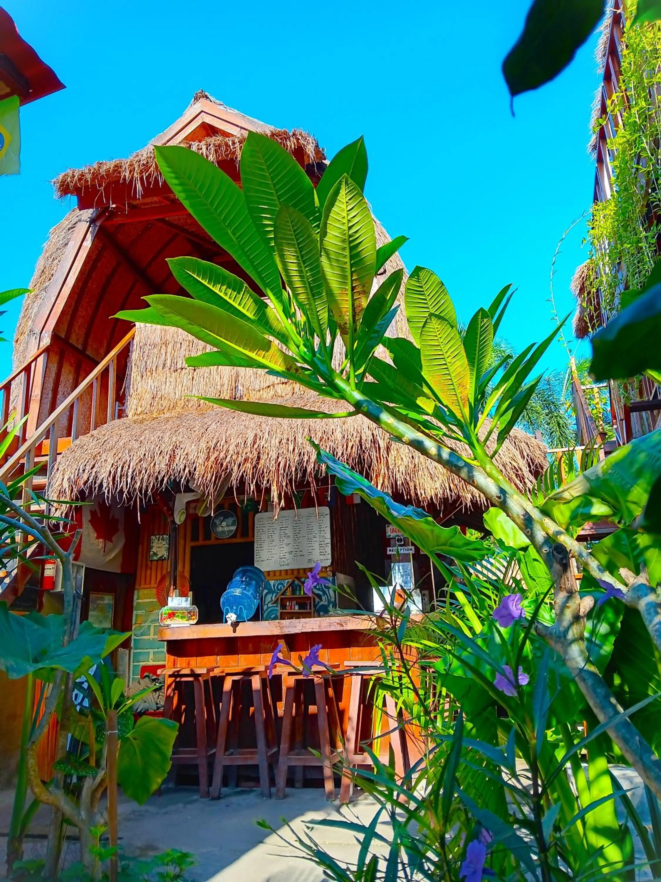 Lounge or bar in Good Vibes Bungalows