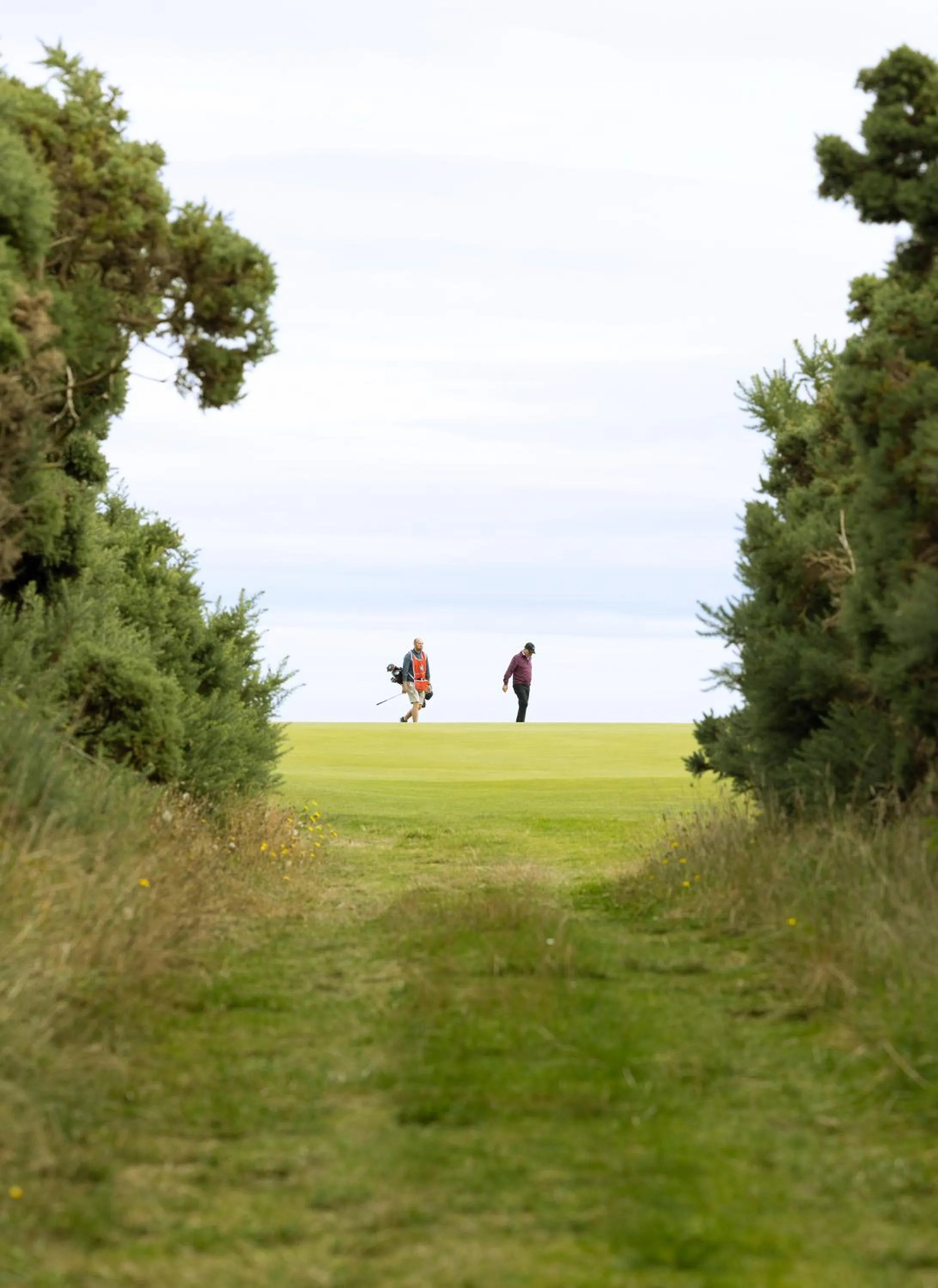 Golfcourse in Dornoch Station