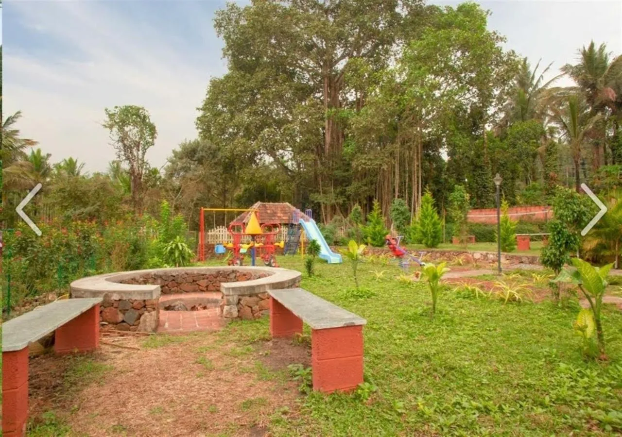 Activities in Clover Holiday Village