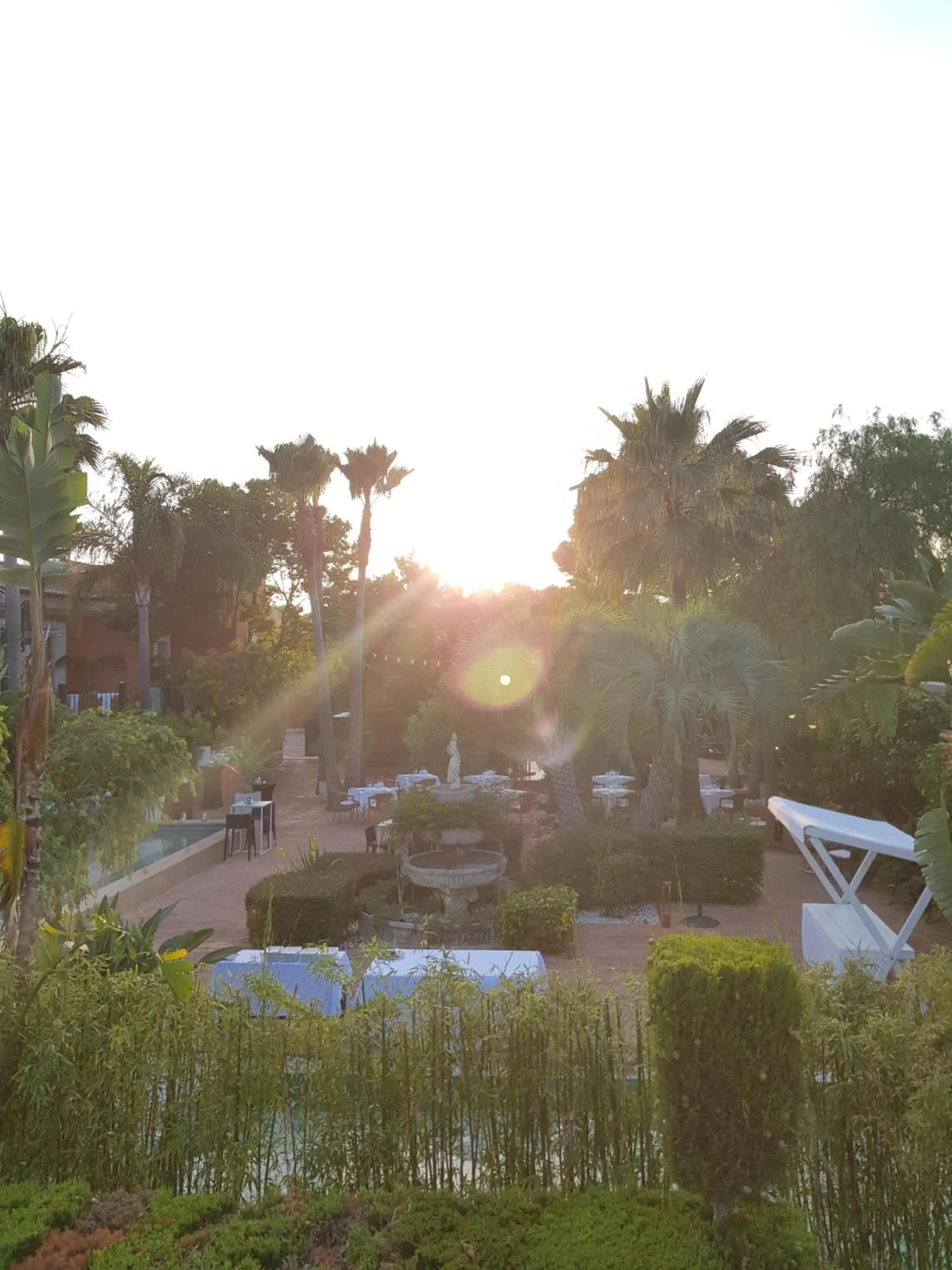 Garden in Hotel MR Les Rotes