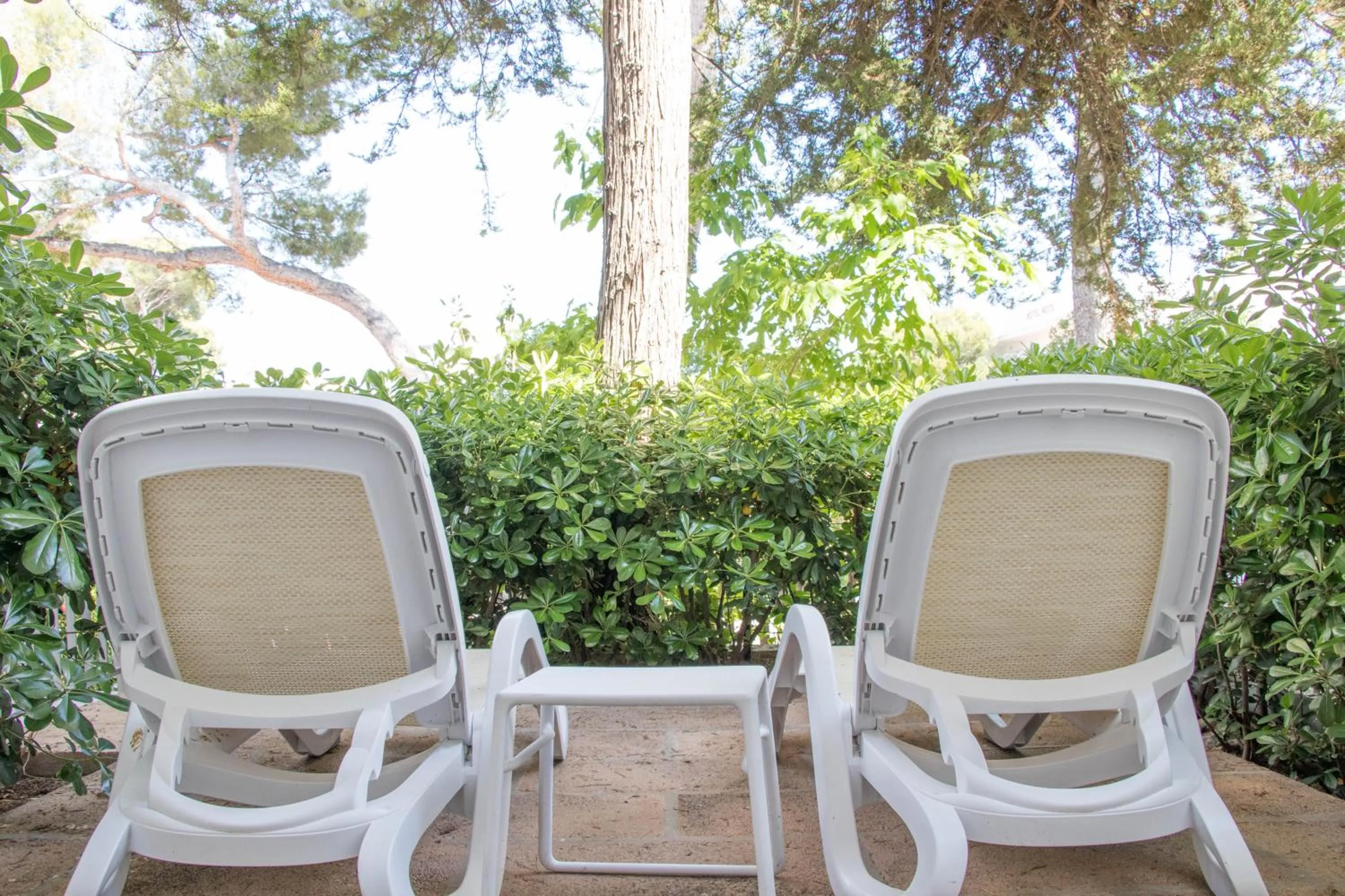 Photo of the whole room in Houm Plaza Son Rigo