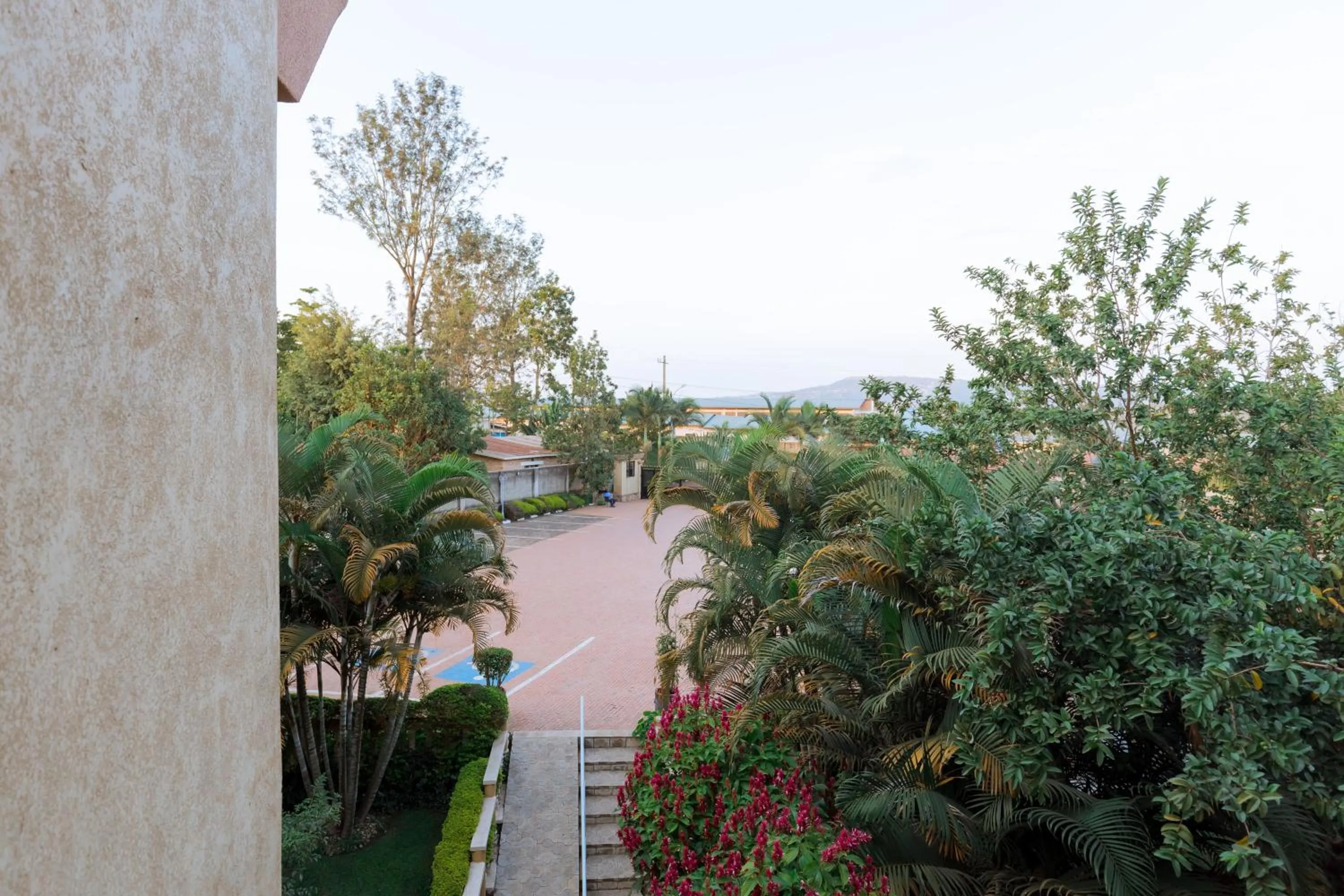 Garden view in KAMI LUXURY APARTMENTS