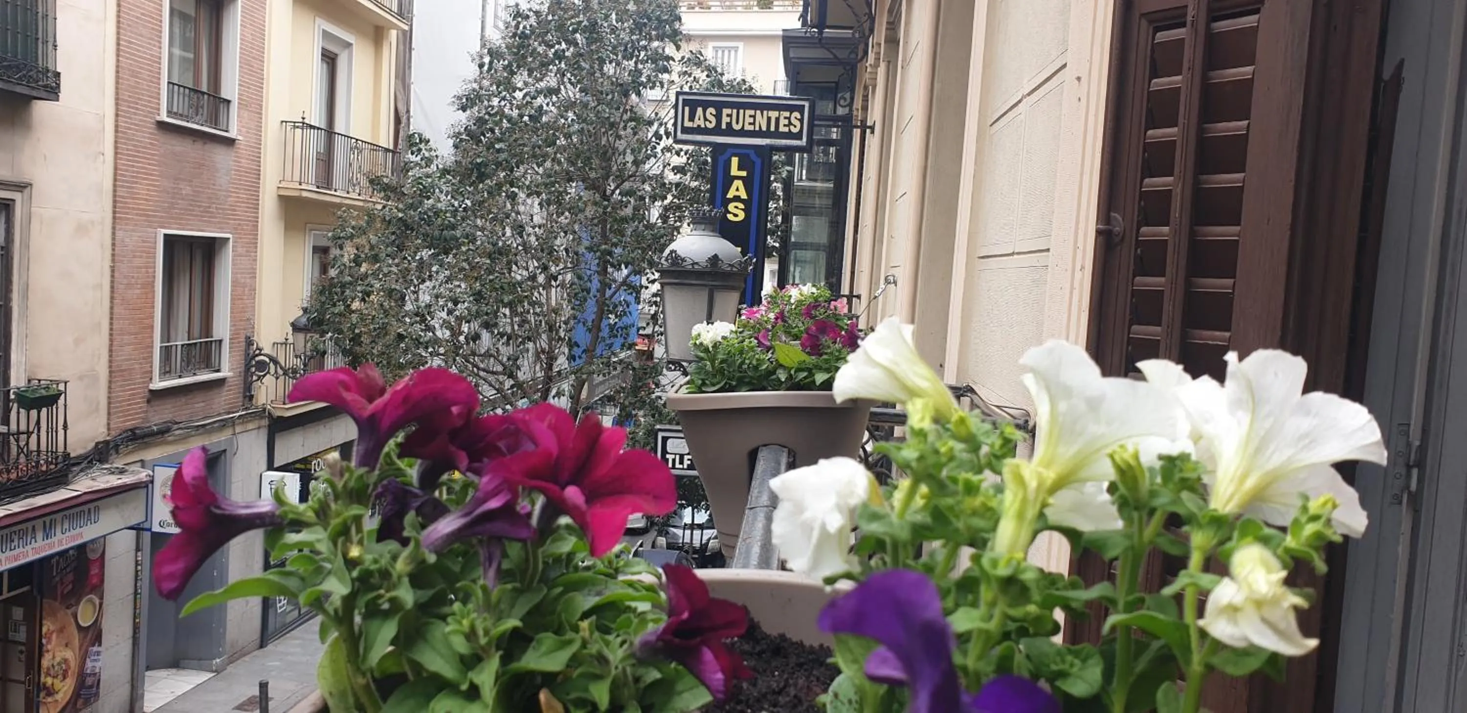 Balcony/Terrace in Hostal Las Fuentes