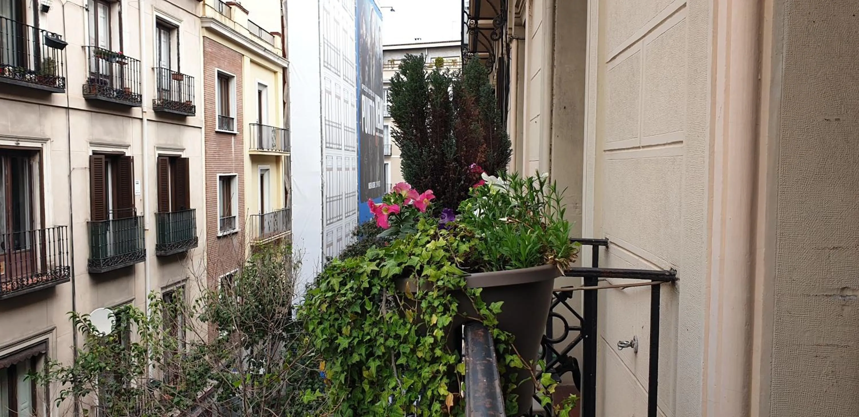 Balcony/Terrace in Hostal Las Fuentes