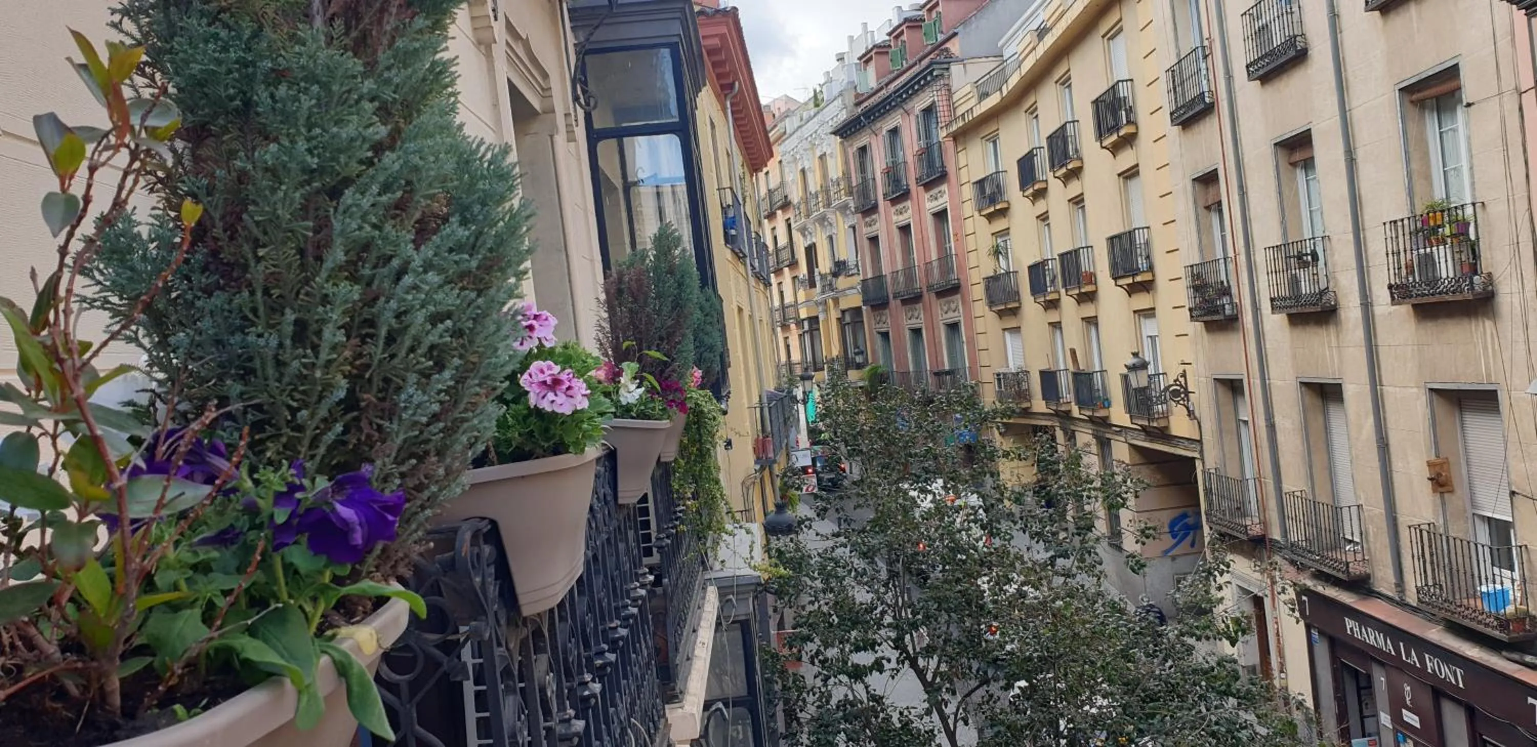 Balcony/Terrace in Hostal Las Fuentes