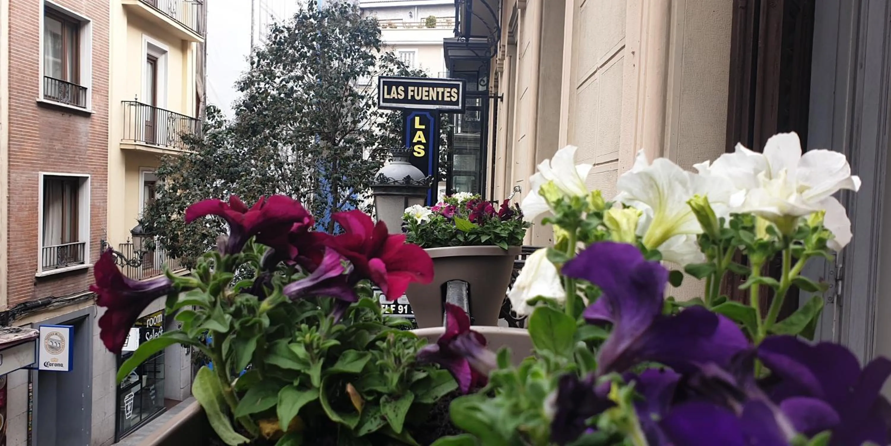 Property building in Hostal Las Fuentes