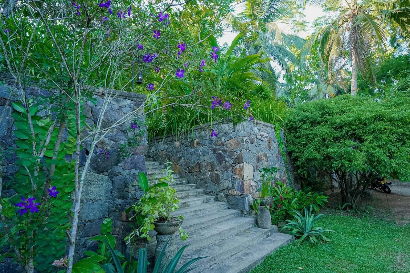 Property building in Halcyon Galle