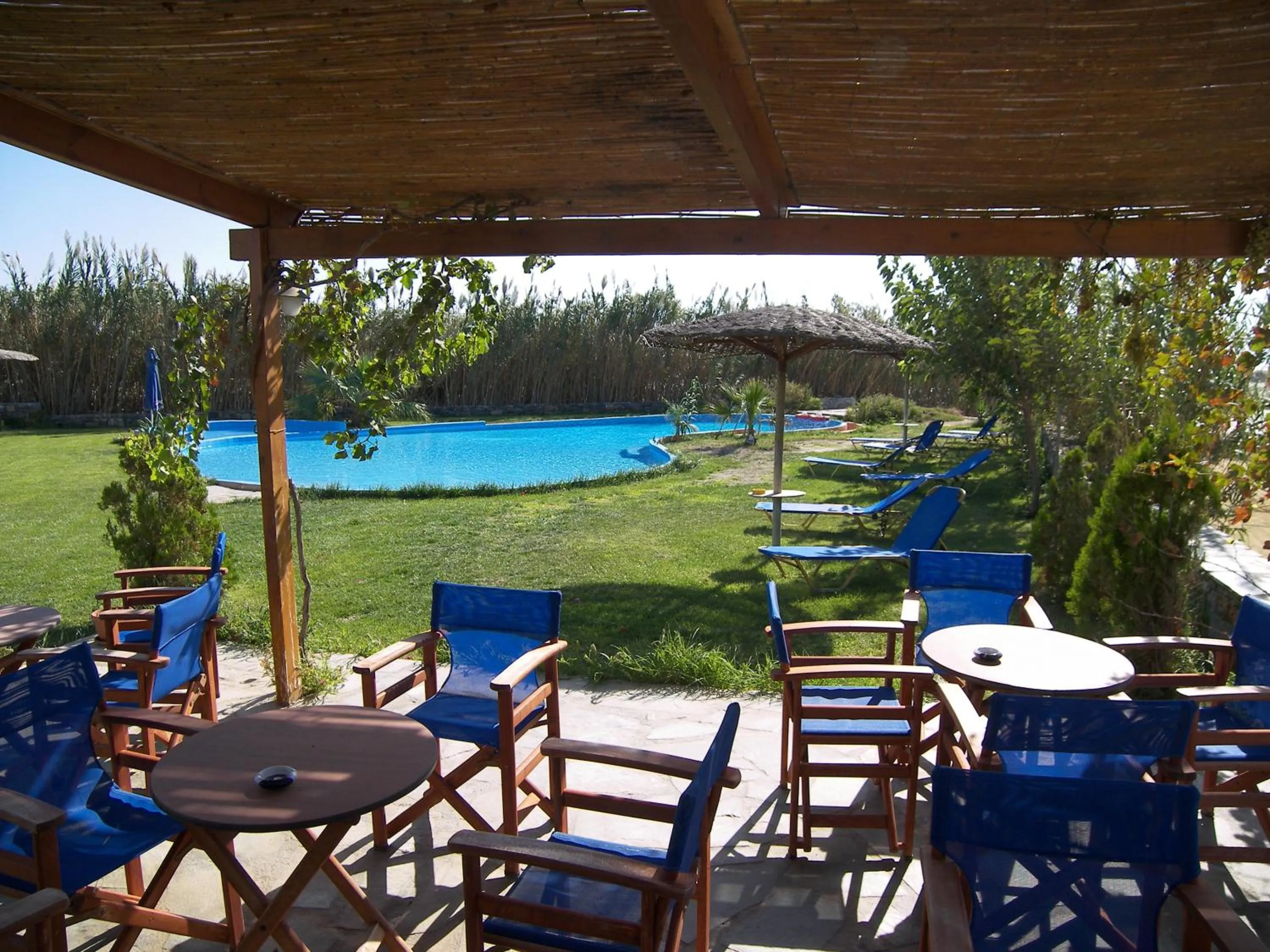 Restaurant/places to eat in Colosseo Star