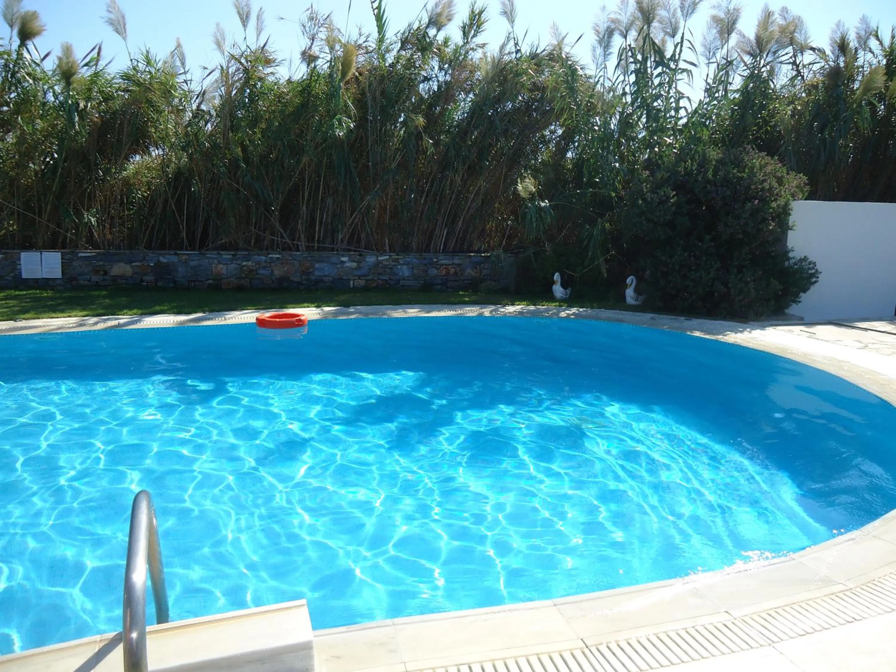 Swimming pool in Colosseo Star