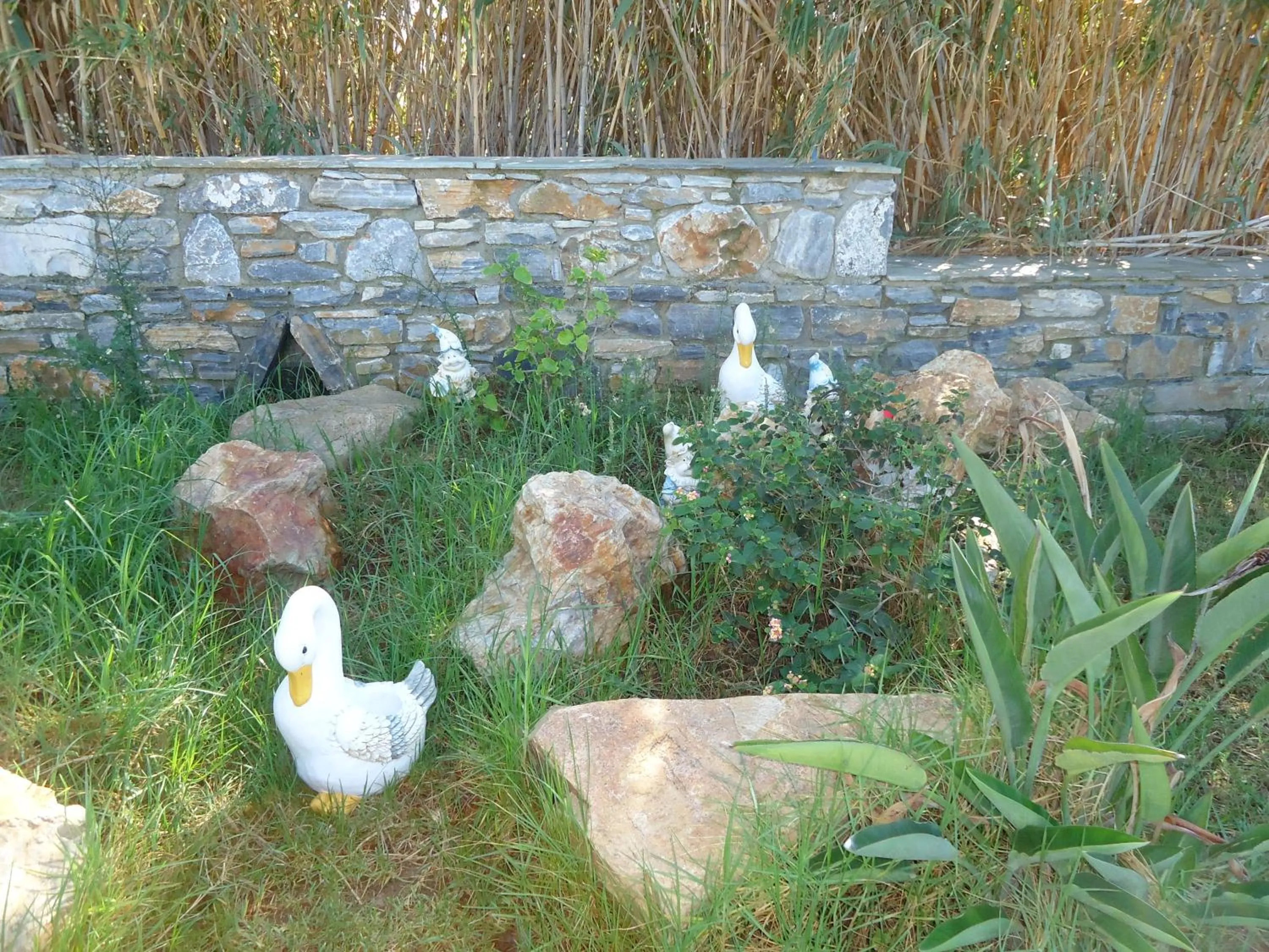 Garden in Colosseo Star