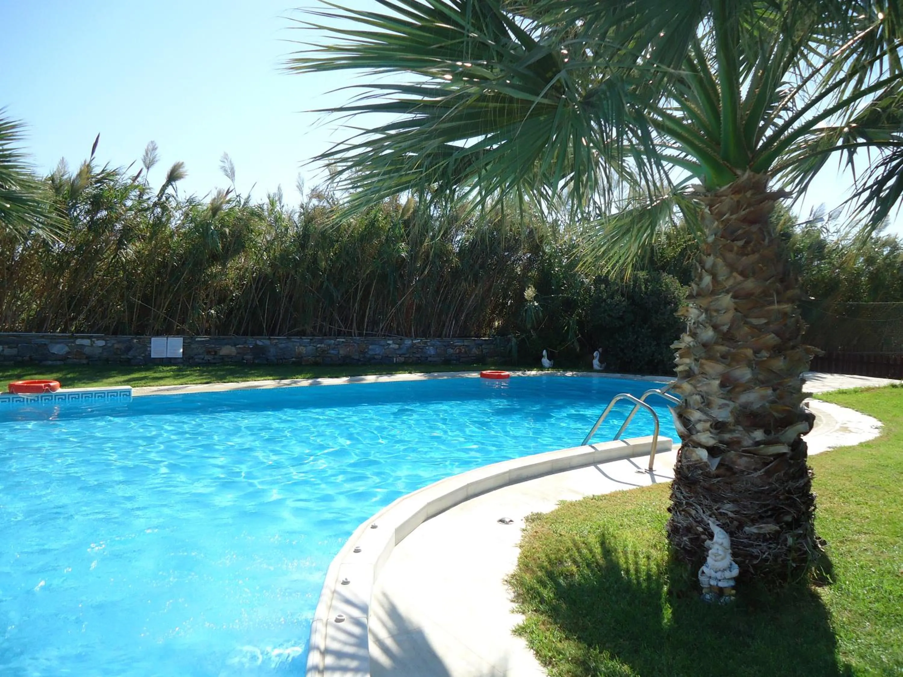 Swimming pool in Colosseo Star