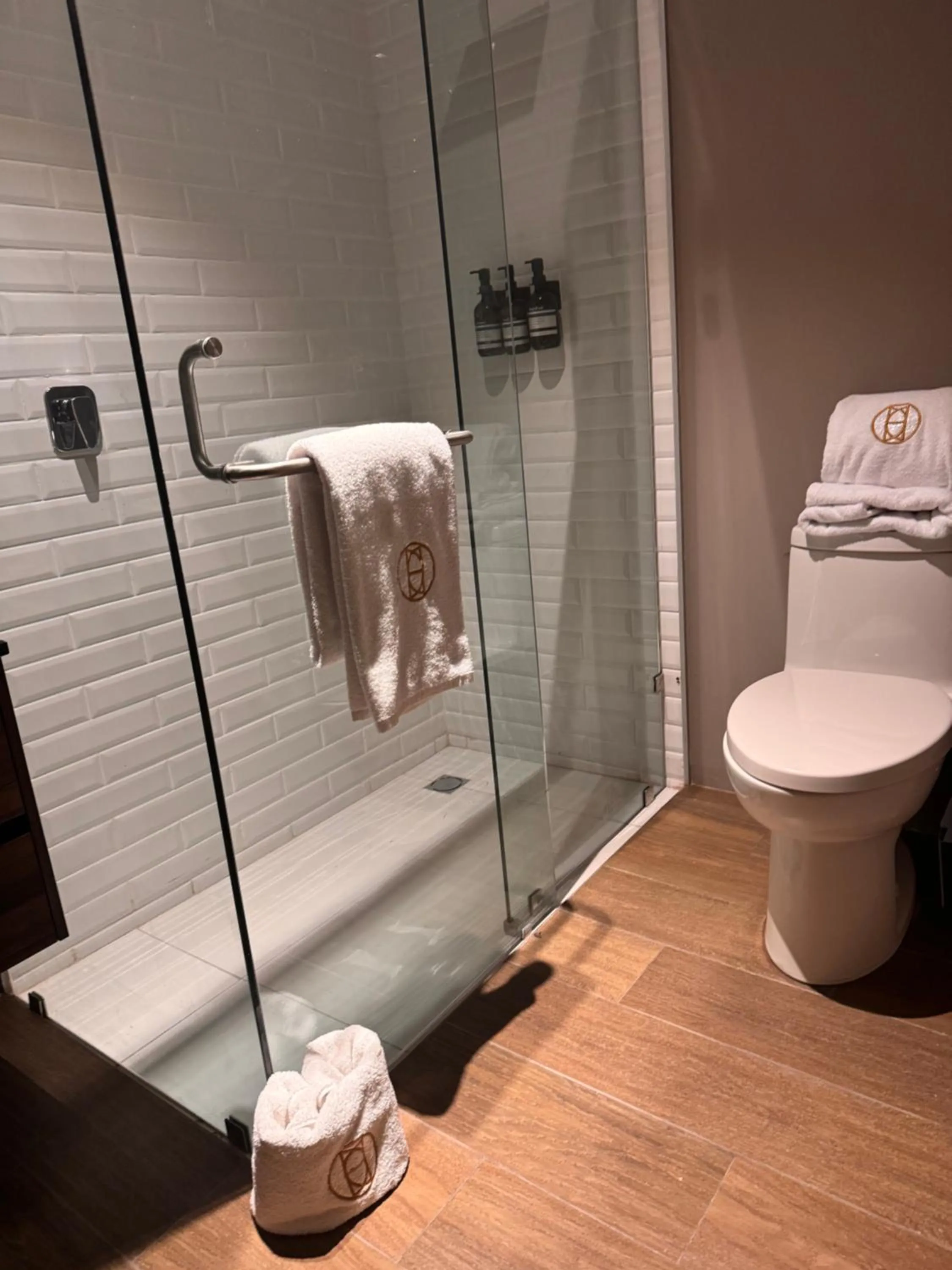 Shower in AMAE21 Lofts