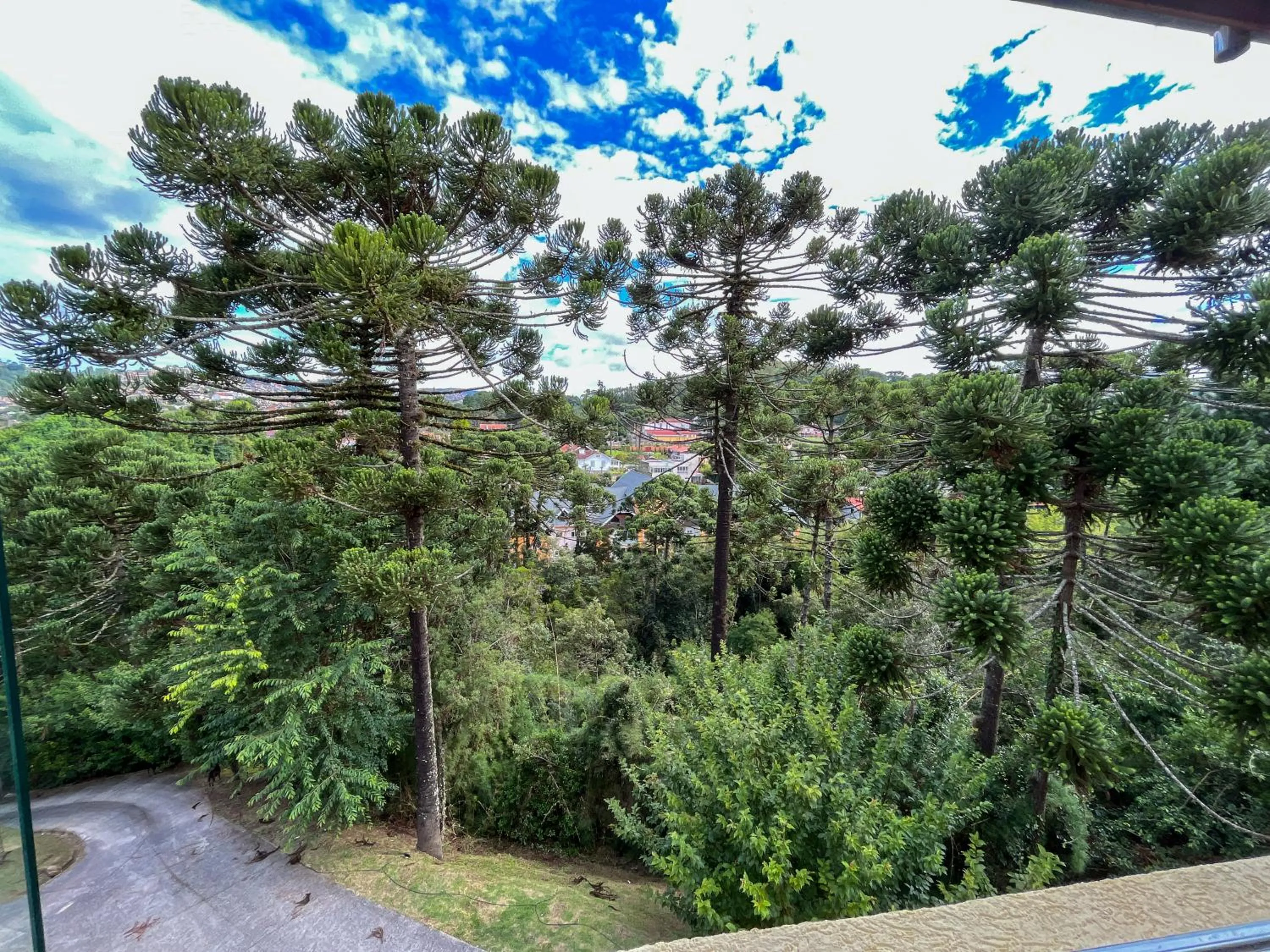 View (from property/room) in Pousadinha Campos